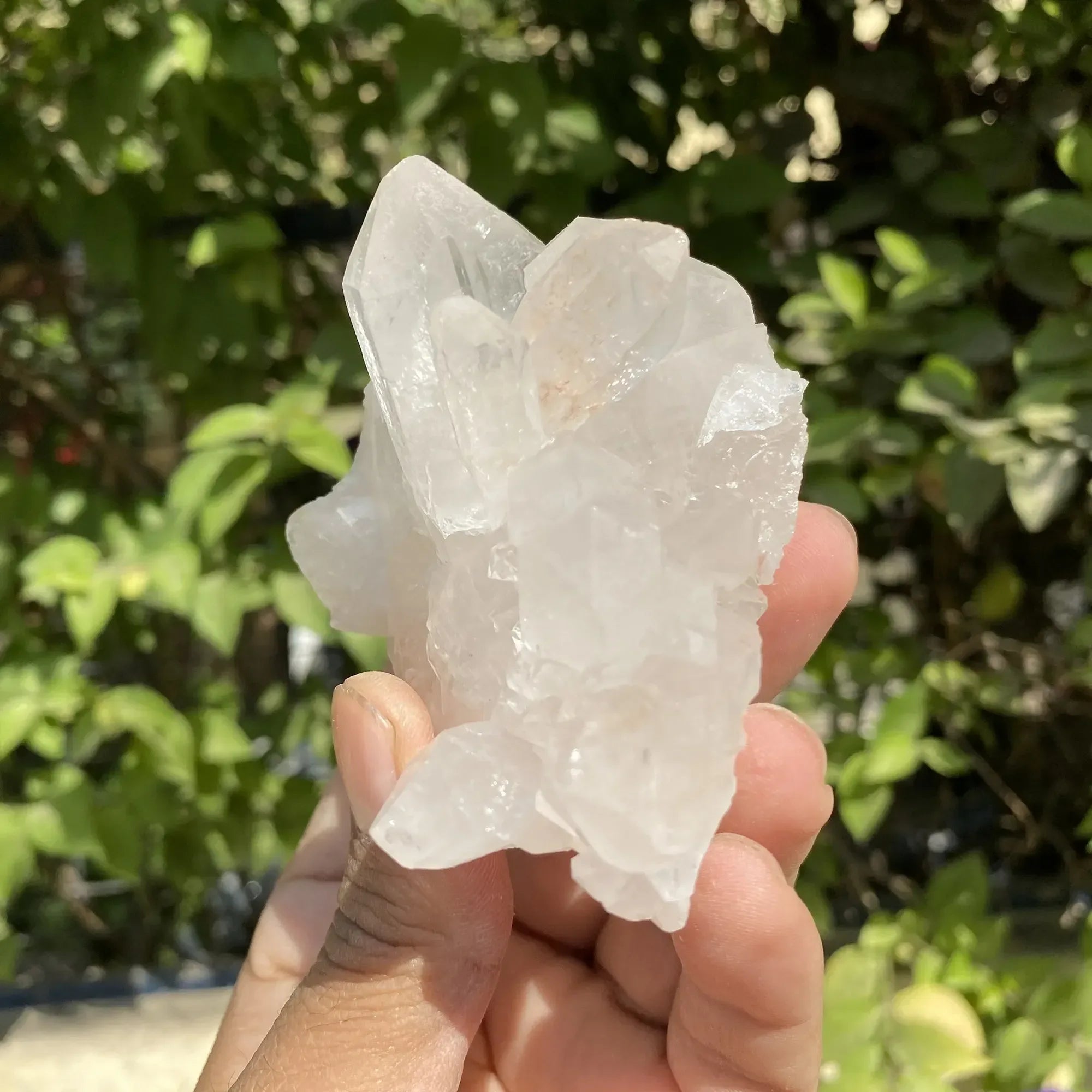 Natural Himalayan White Quartz Cluster 275g Himalayan Quartz