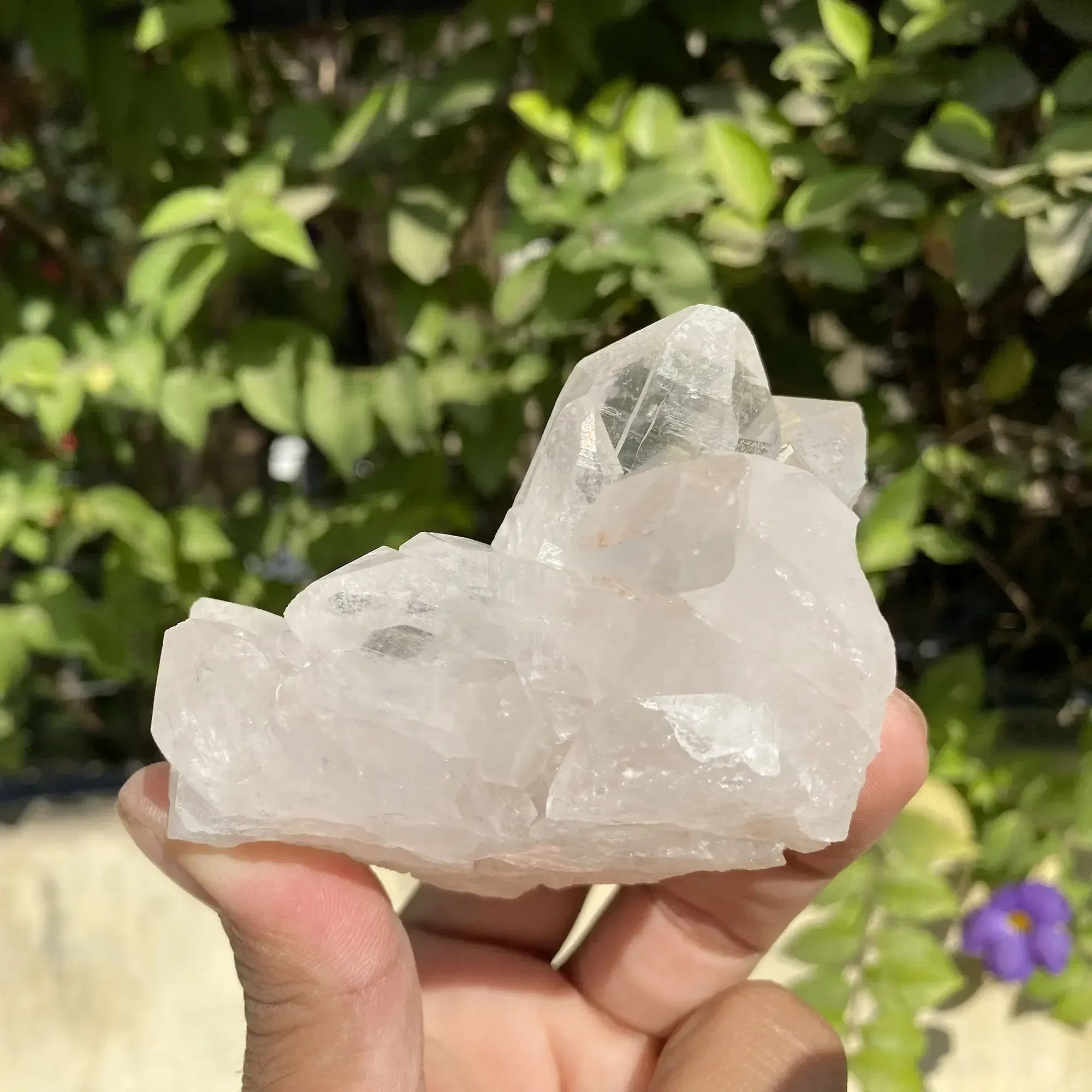 Natural Himalayan White Quartz Cluster 275g Himalayan Quartz