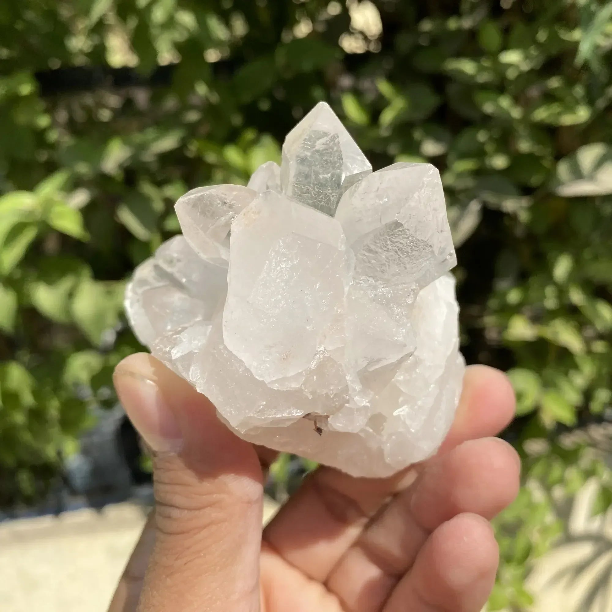Natural Himalayan White Quartz Cluster 275g Himalayan Quartz