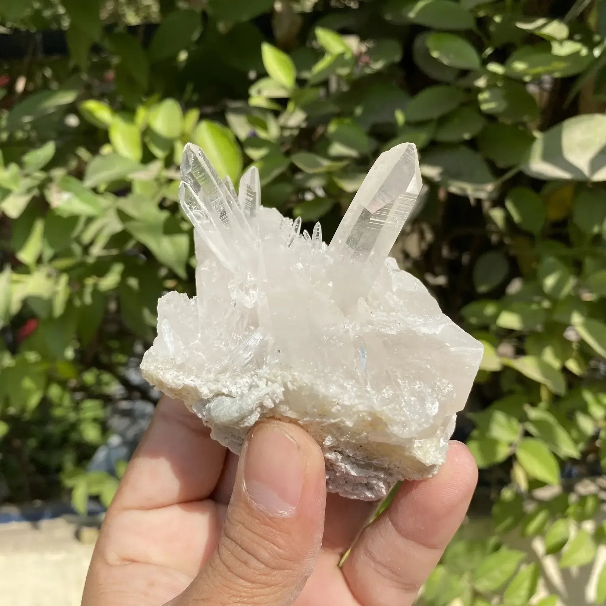Natural Himalayan White Quartz Cluster 210g Himalayan Quartz