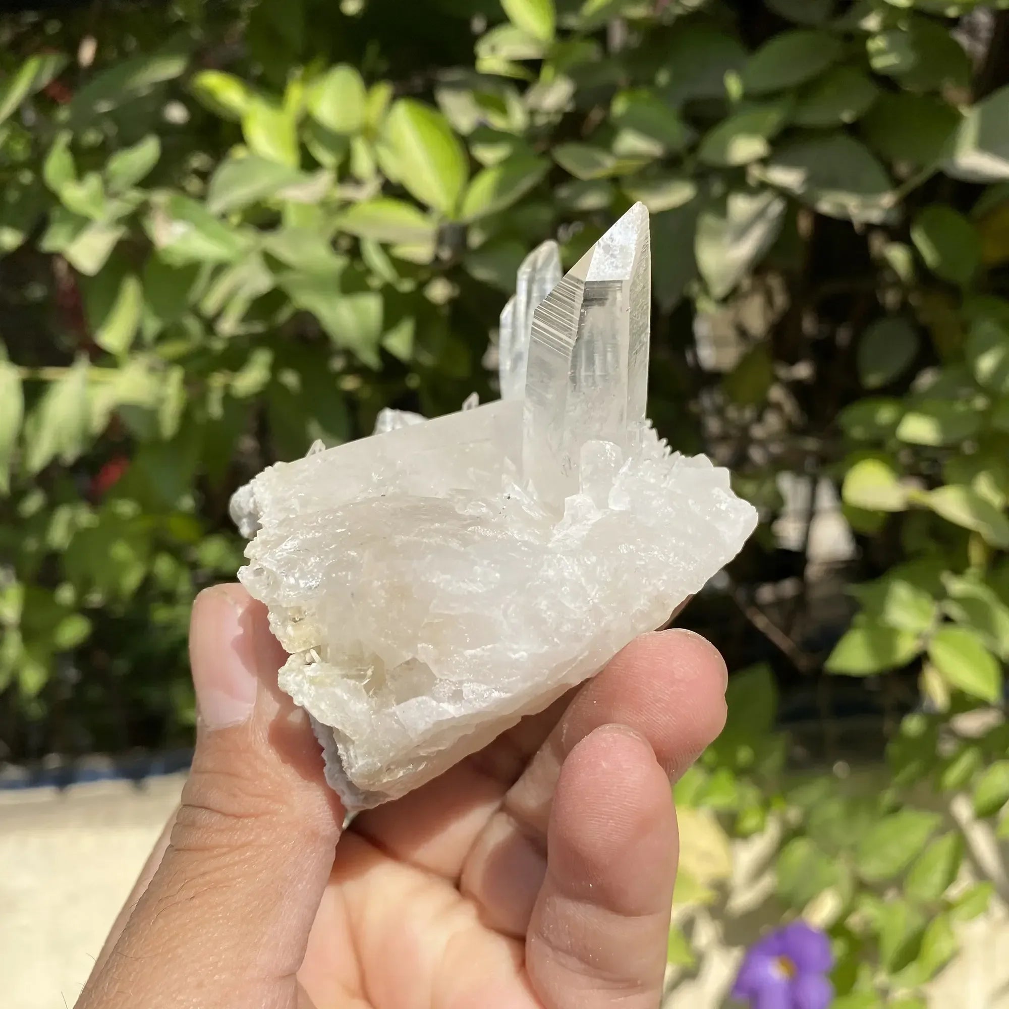 Natural Himalayan White Quartz Cluster 210g Himalayan Quartz