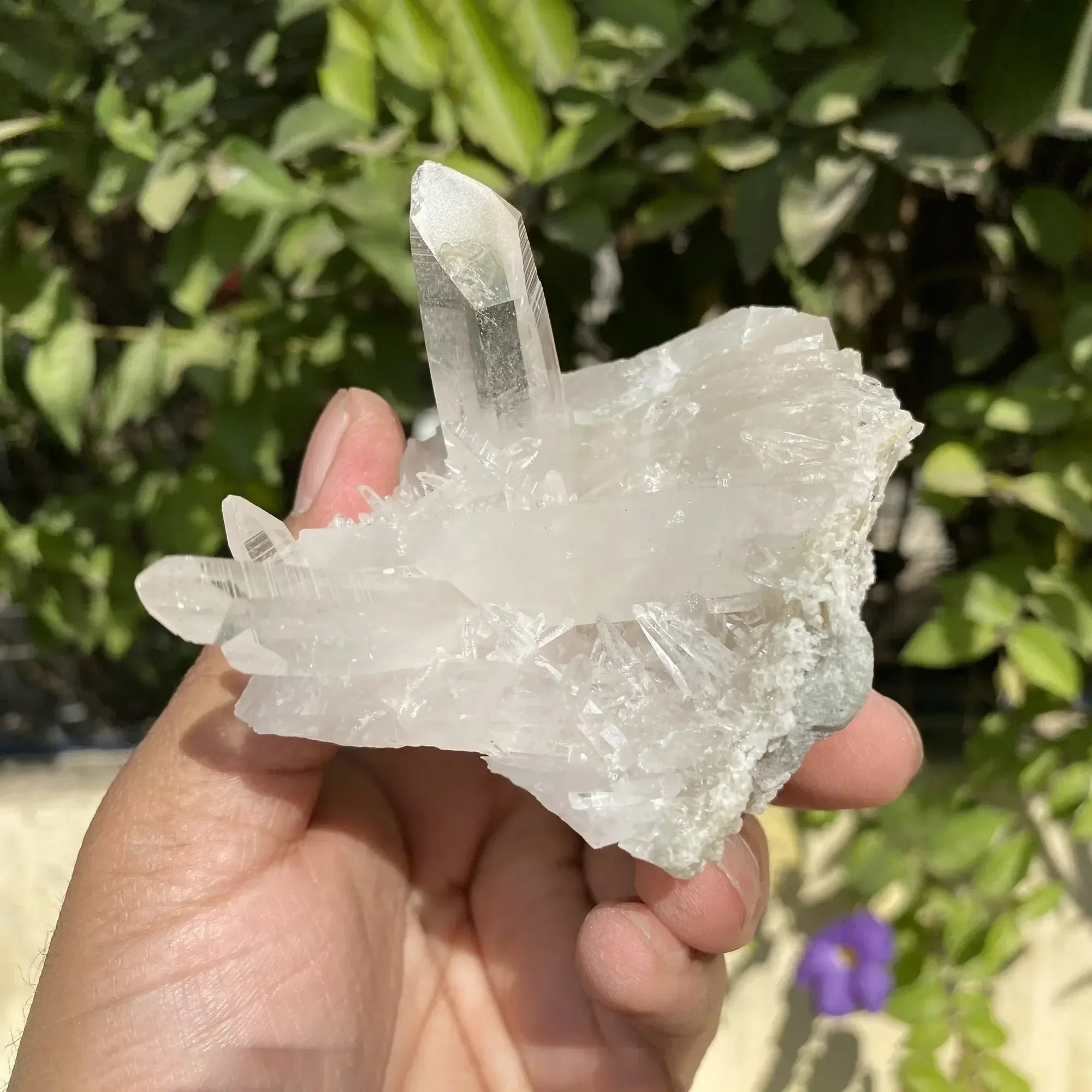 Natural Himalayan White Quartz Cluster 210g Himalayan Quartz