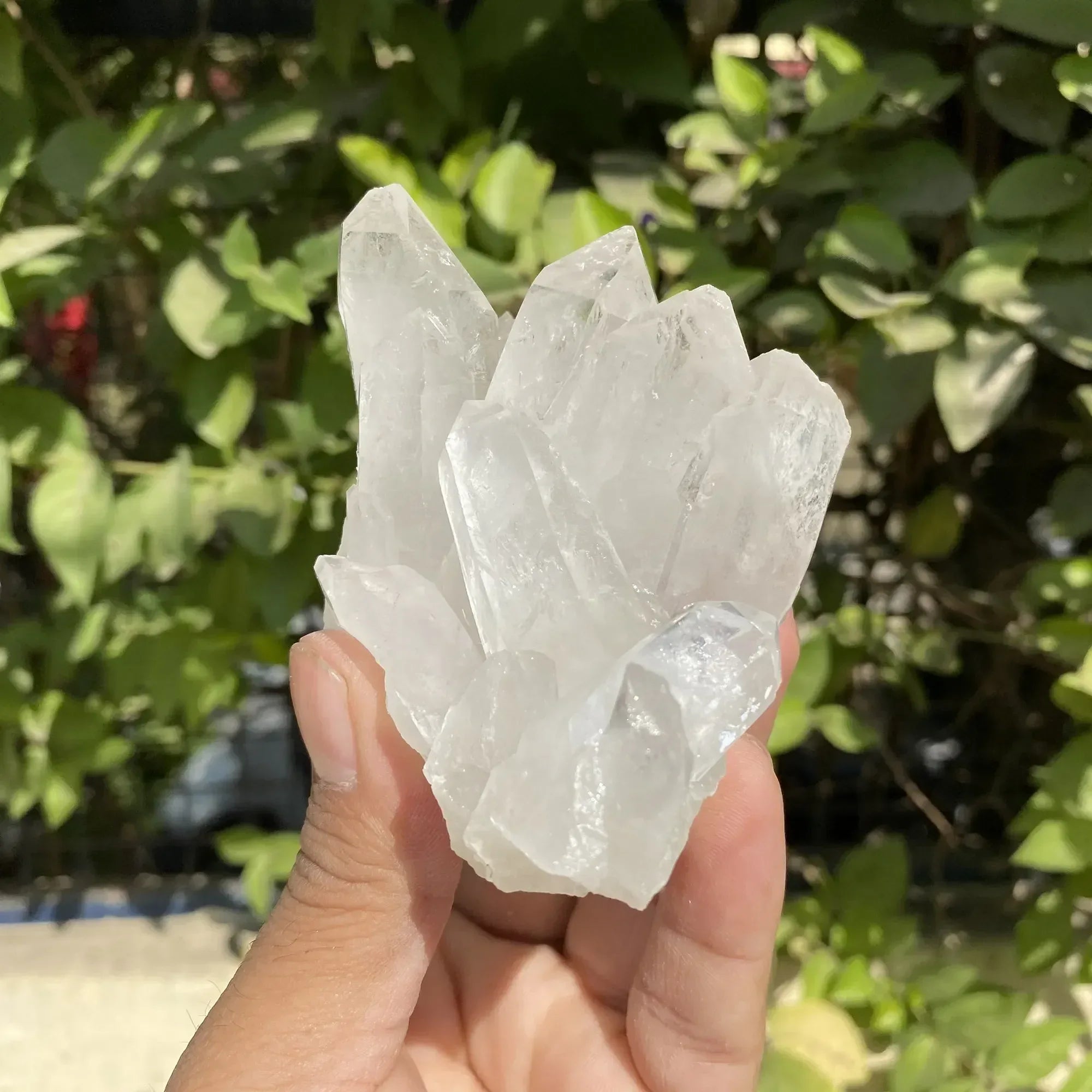 Natural Himalayan White Quartz Cluster 310g Himalayan Quartz