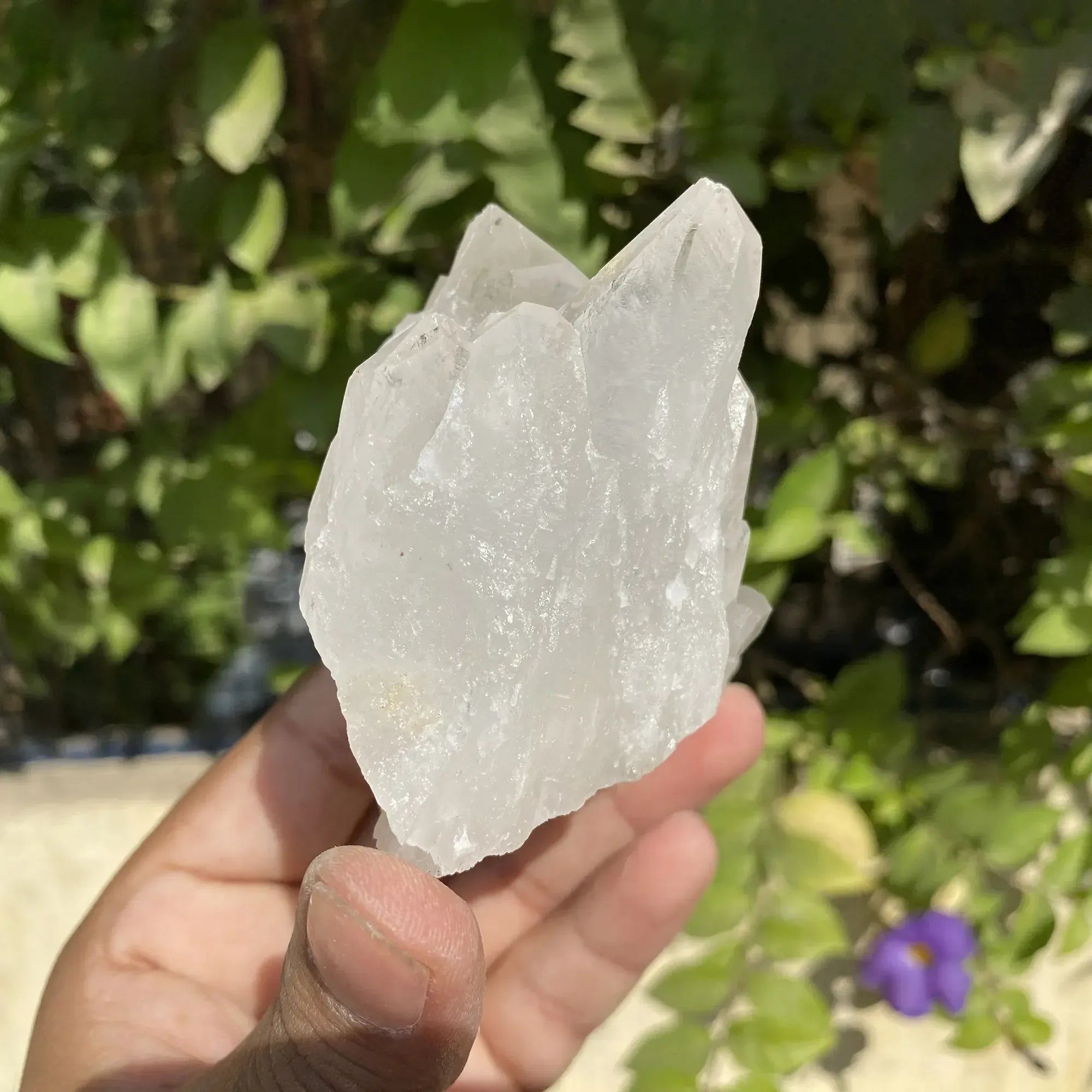 Natural Himalayan White Quartz Cluster 310g Himalayan Quartz