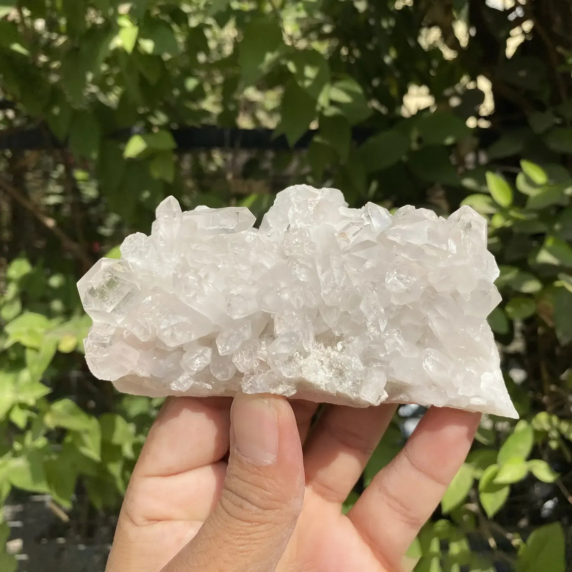 Natural Himalayan White Quartz Cluster 210g Himalayan Quartz