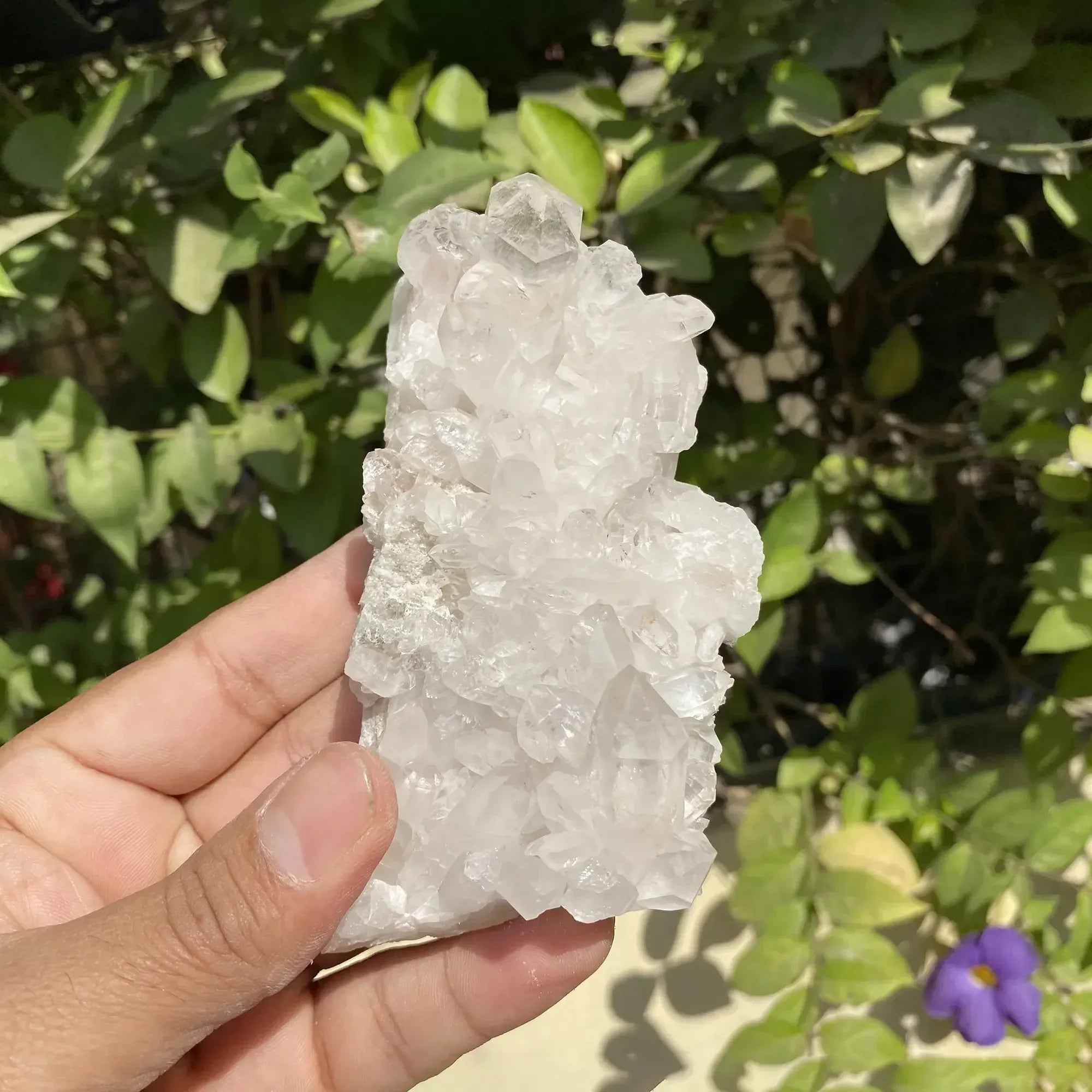 Natural Himalayan White Quartz Cluster 210g Himalayan Quartz