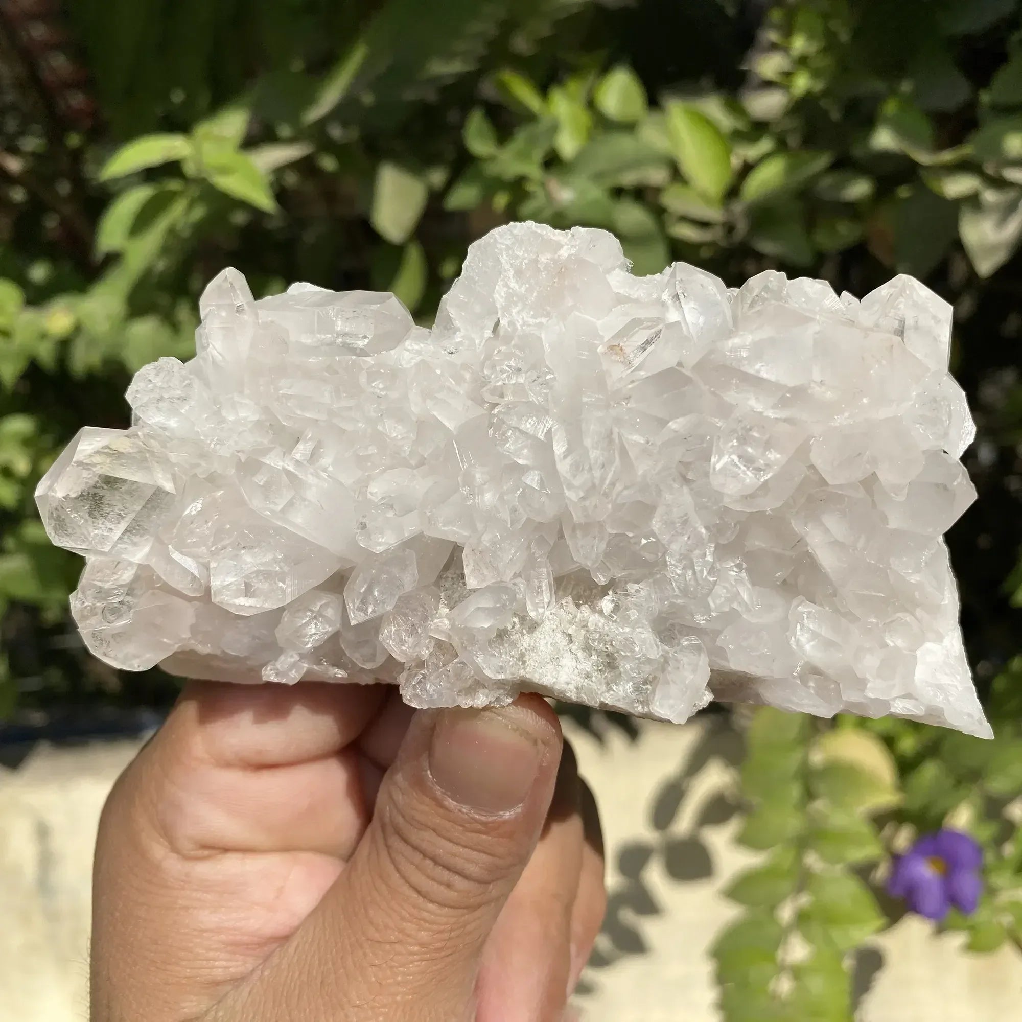 Natural Himalayan White Quartz Cluster 210g Himalayan Quartz