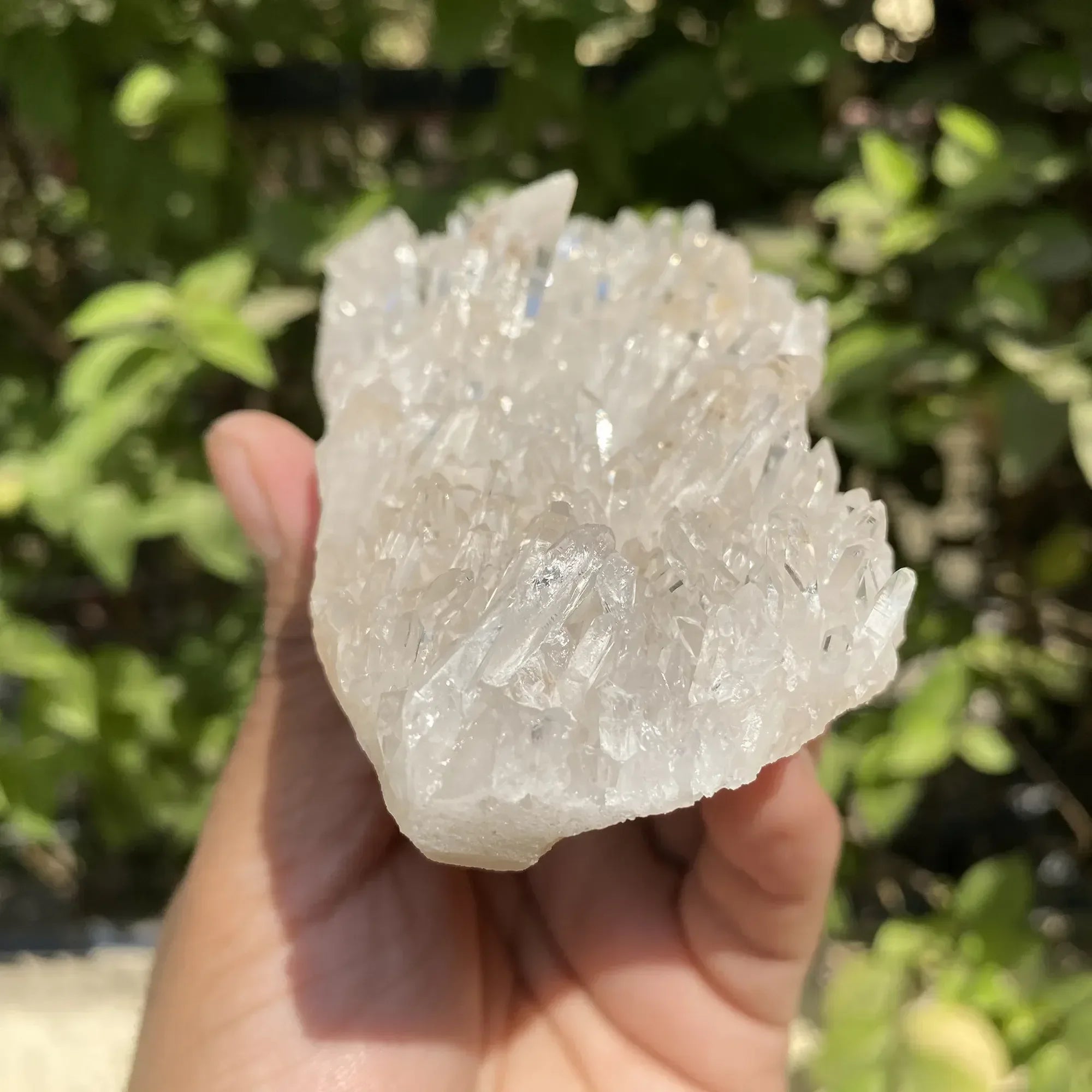 White Himalayan Quartz crystal cluster from Himalya Quartz, natural energy healing display with multiple crystal points and rough texture.