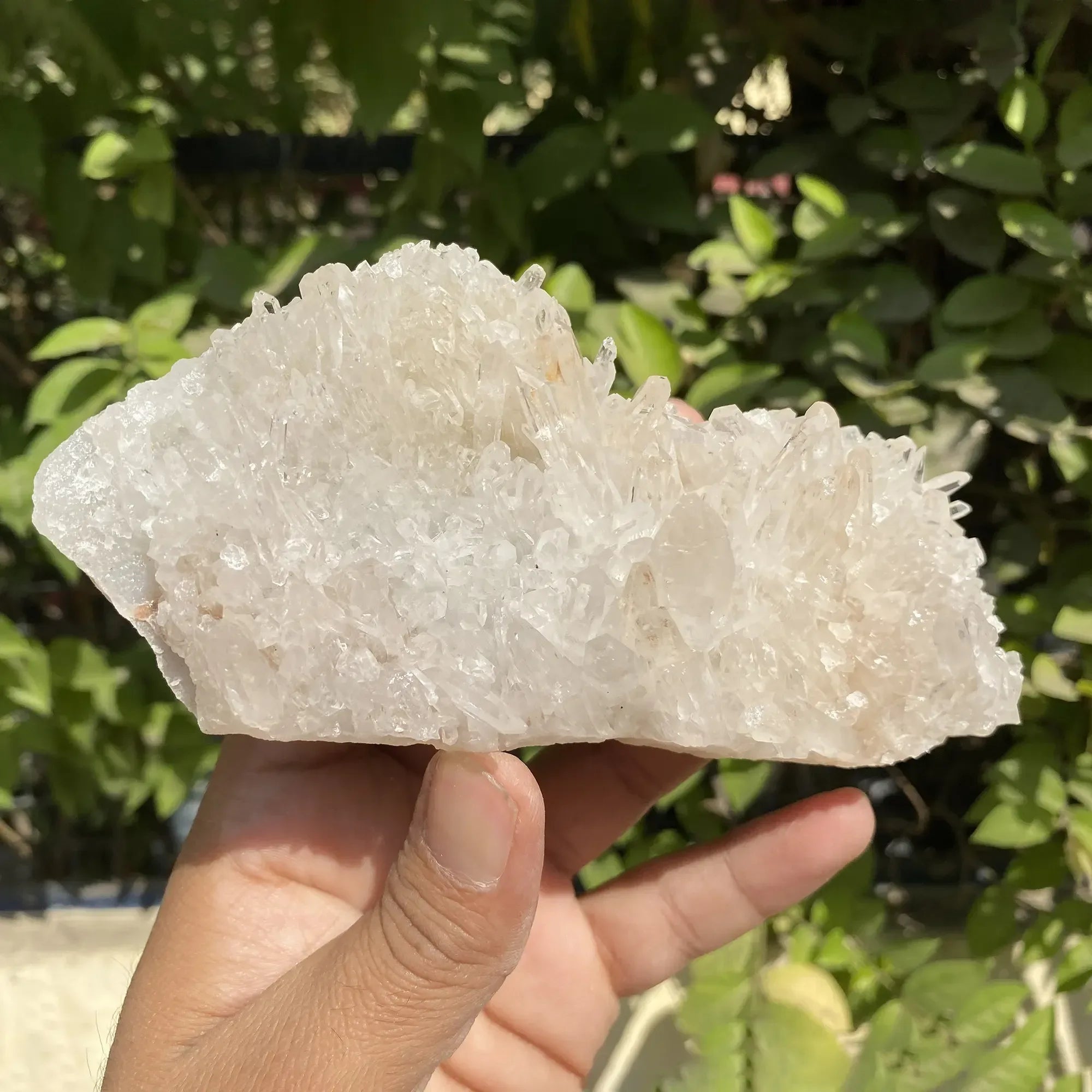 White Himalayan Quartz crystal cluster from Himalya Quartz, natural healing stone display with multiple quartz points and mineral formations.