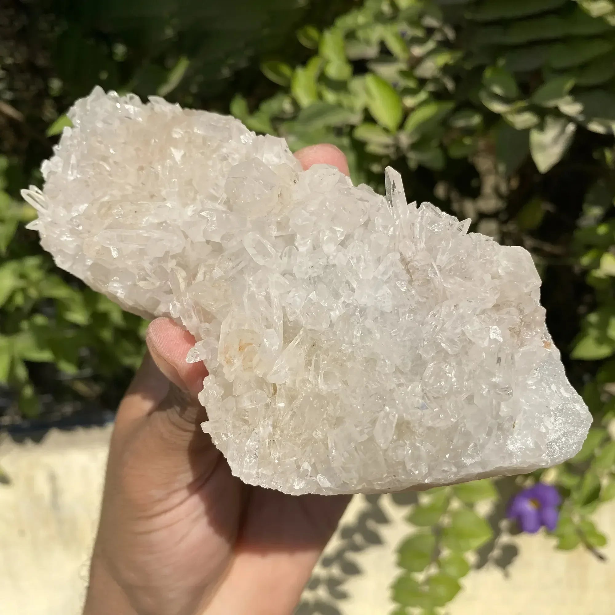 White Himalayan Quartz crystal cluster from Himalya Quartz, natural energy healing display with multiple quartz points.