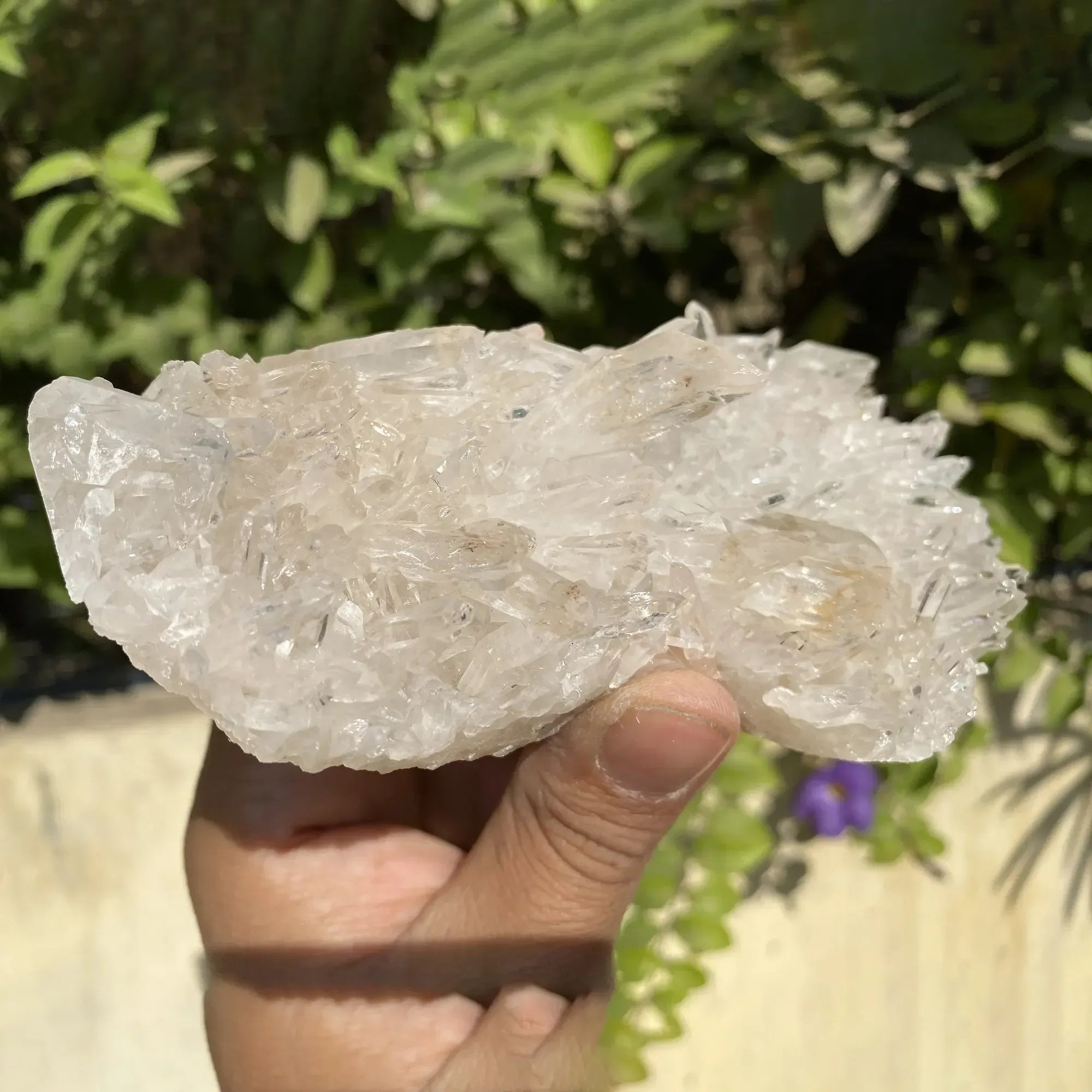 White Himalayan Quartz Crystal cluster from Himalya Quartz, natural energy healing display with multiple quartz points on a base.