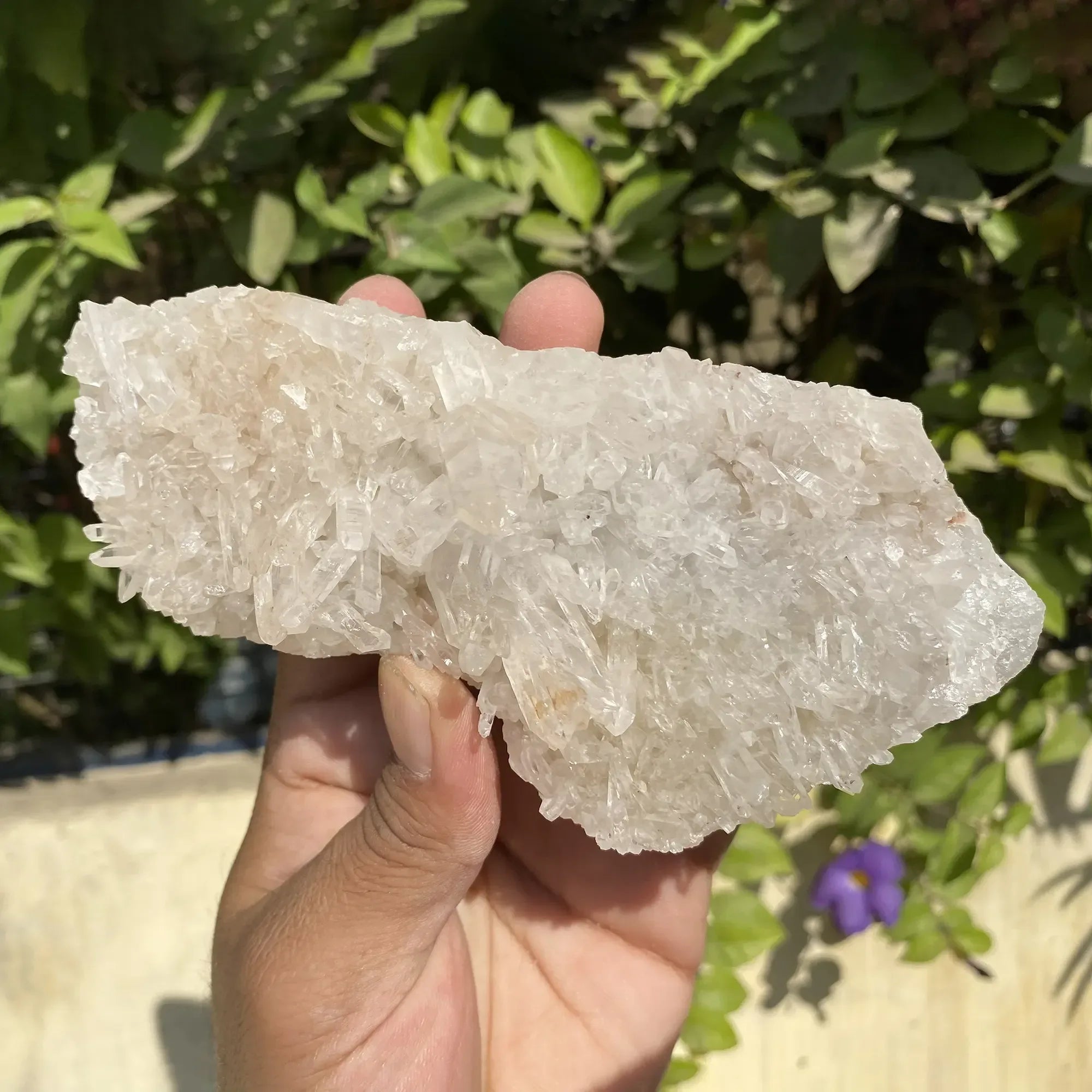 White Himalayan Quartz crystal cluster from Himalya Quartz, natural energy healing display with multiple quartz points.