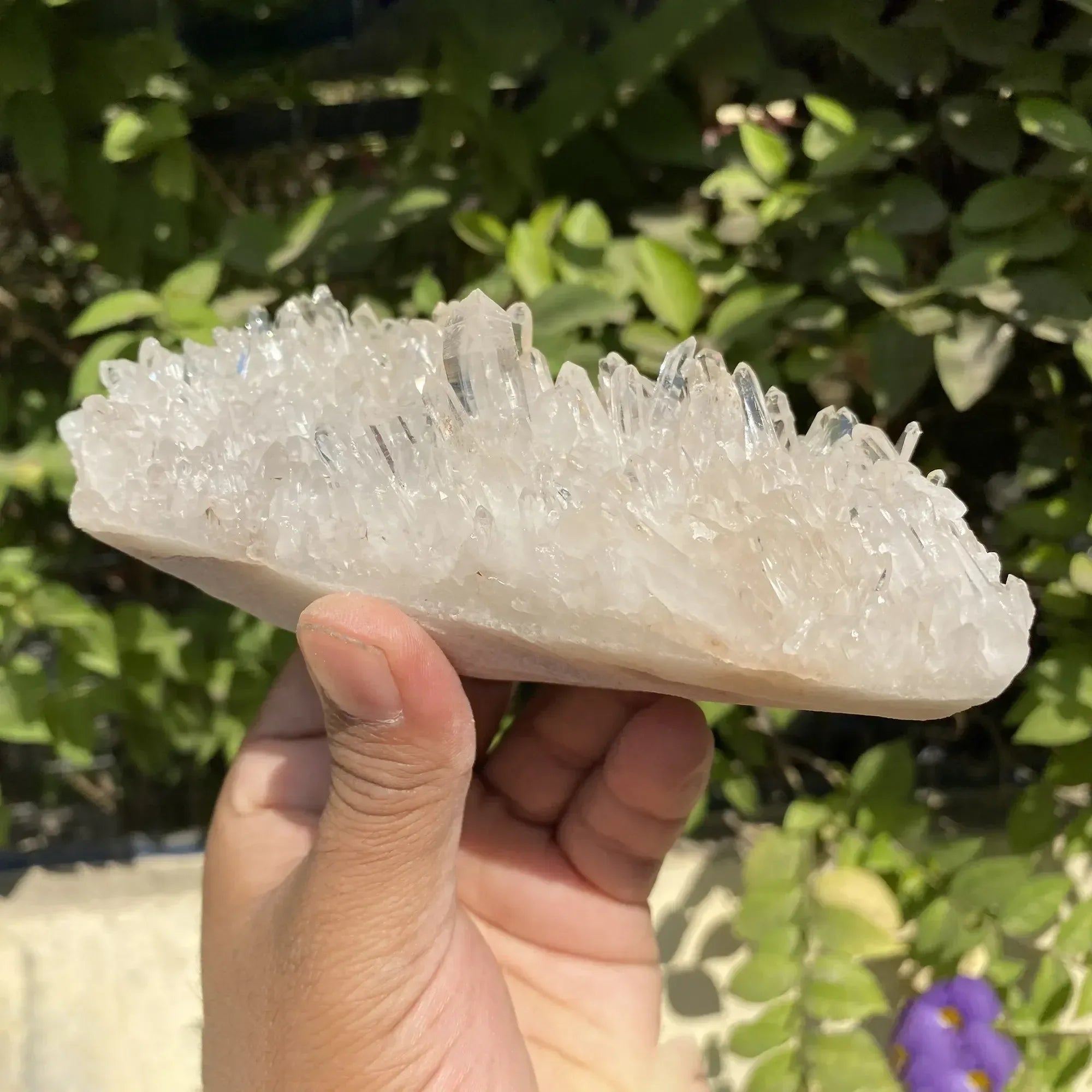 White Himalayan Quartz crystal cluster from Himalya Quartz, natural energy healing display with pointed quartz formations.