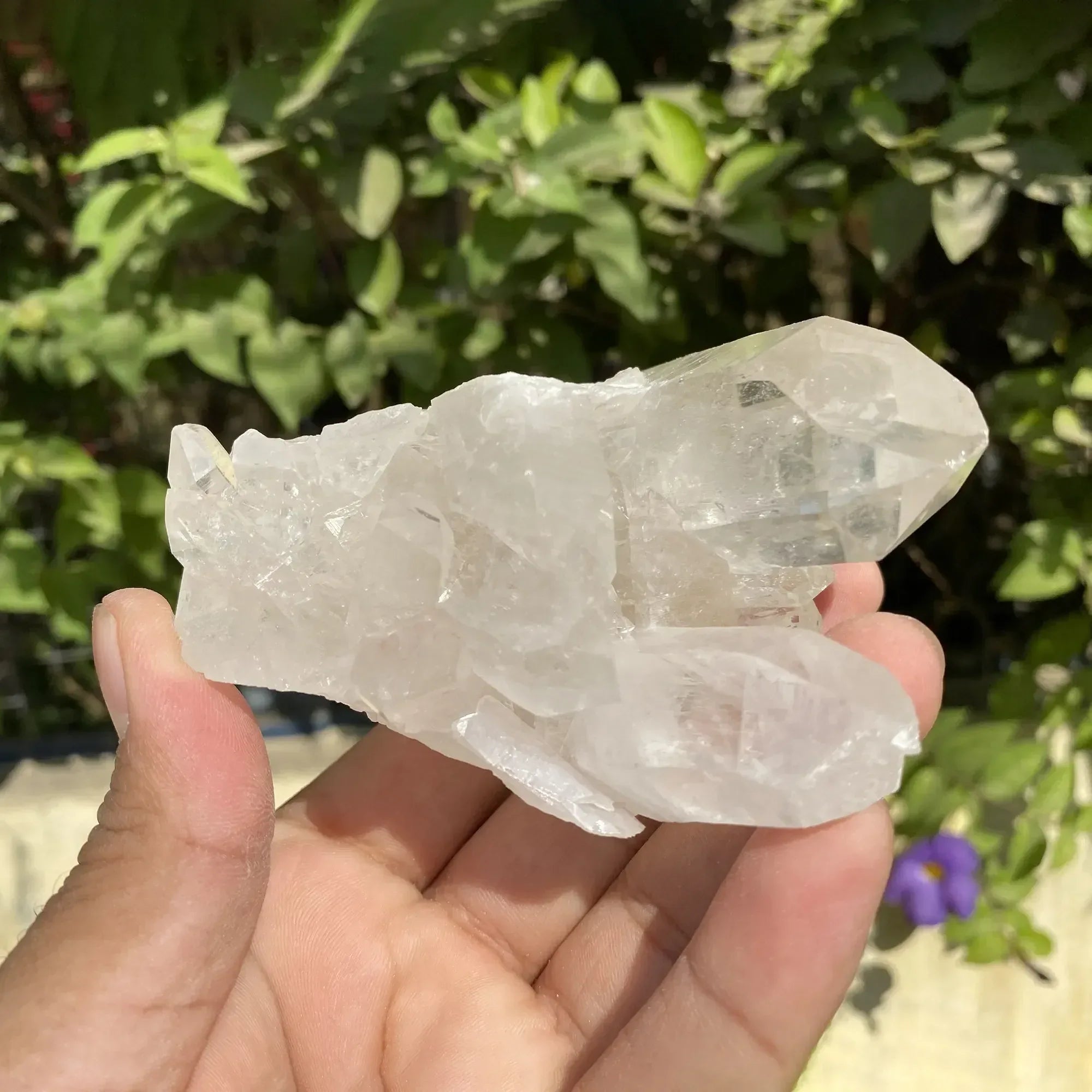 Natural Himalayan White Quartz Cluster 480g Himalayan Quartz