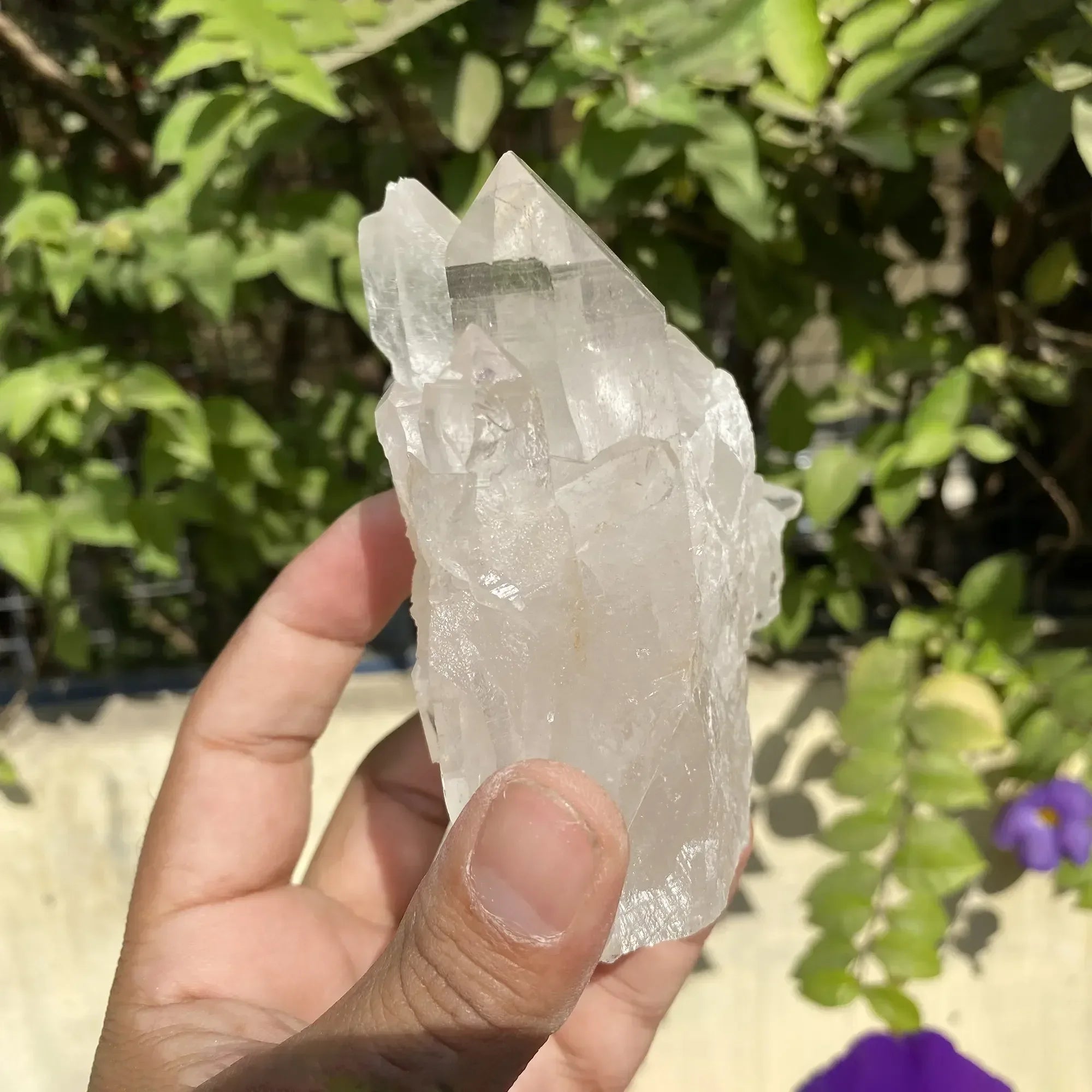 Natural Himalayan White Quartz Cluster 480g Himalayan Quartz