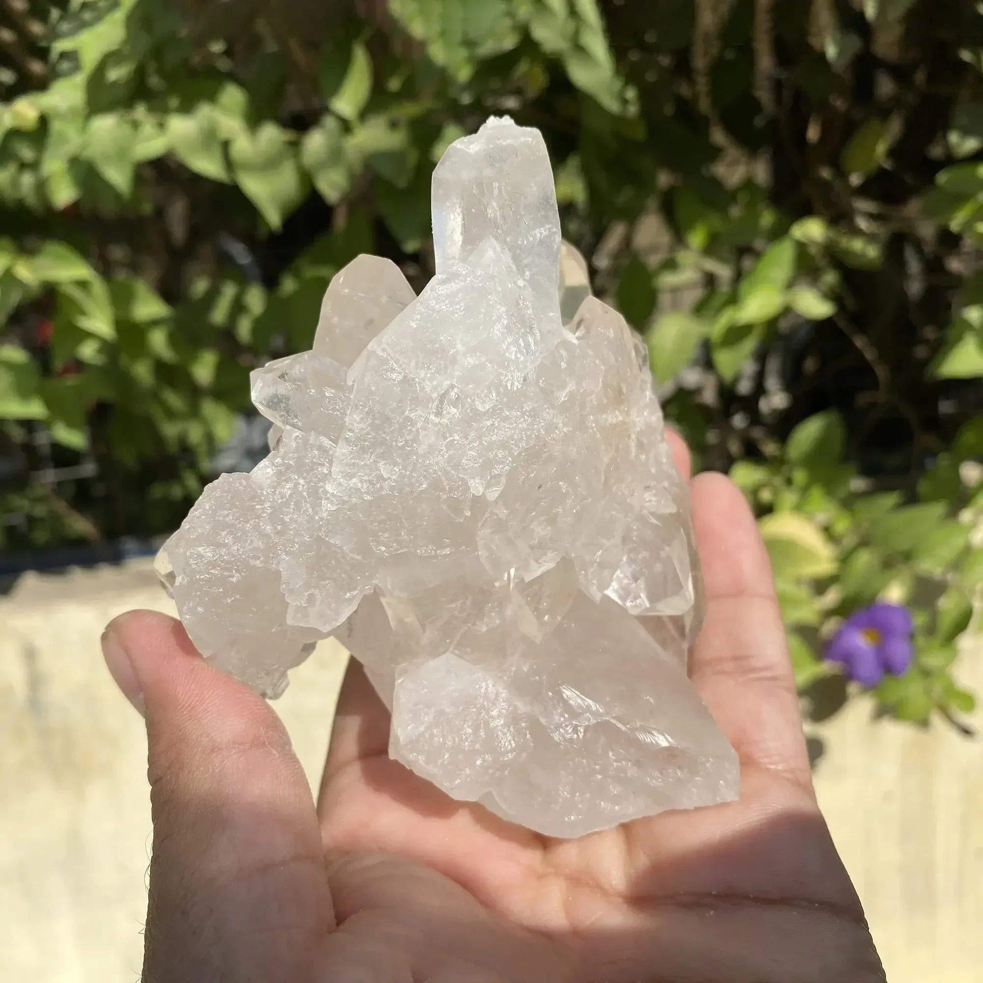 Natural Himalayan White Quartz Cluster 480g Himalayan Quartz