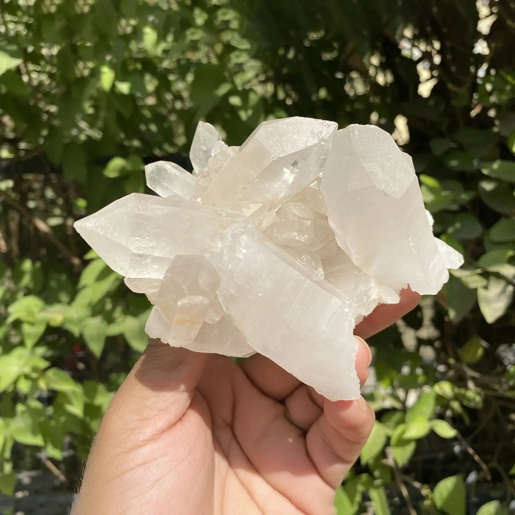 Natural Himalayan Pink Quartz Cluster 510g Himalayan Quartz