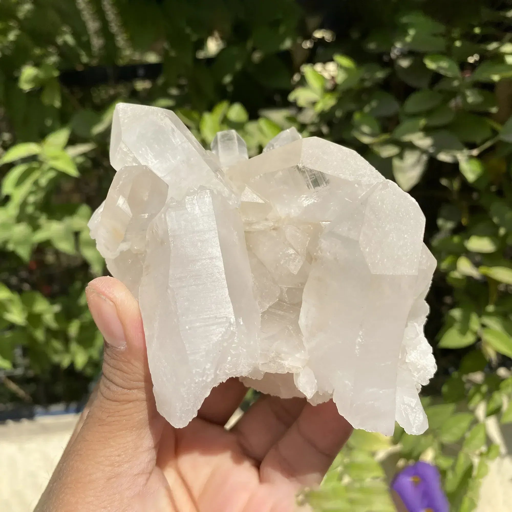 Natural Himalayan Pink Quartz Cluster 510g Himalayan Quartz