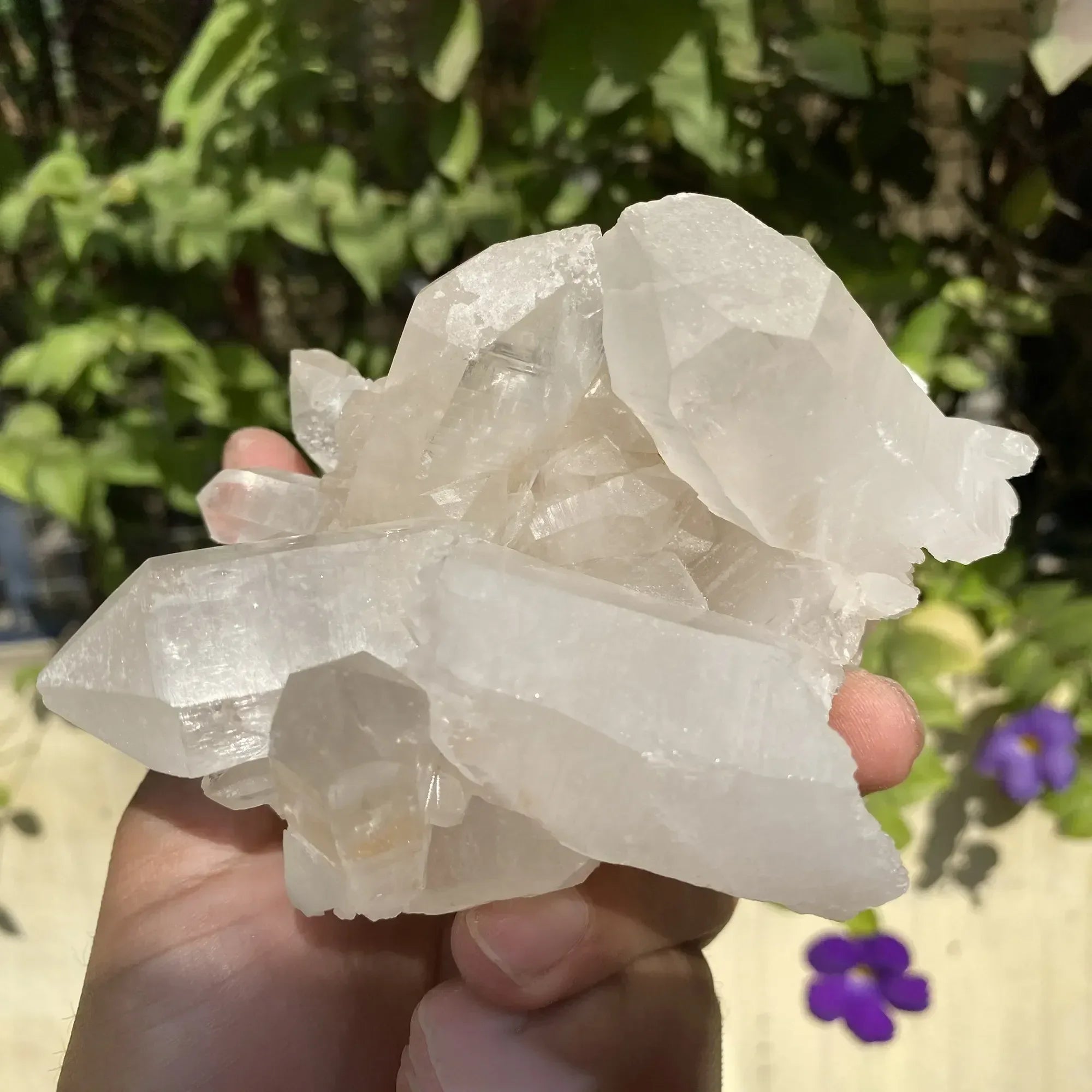 Natural Himalayan Pink Quartz Cluster 510g Himalayan Quartz