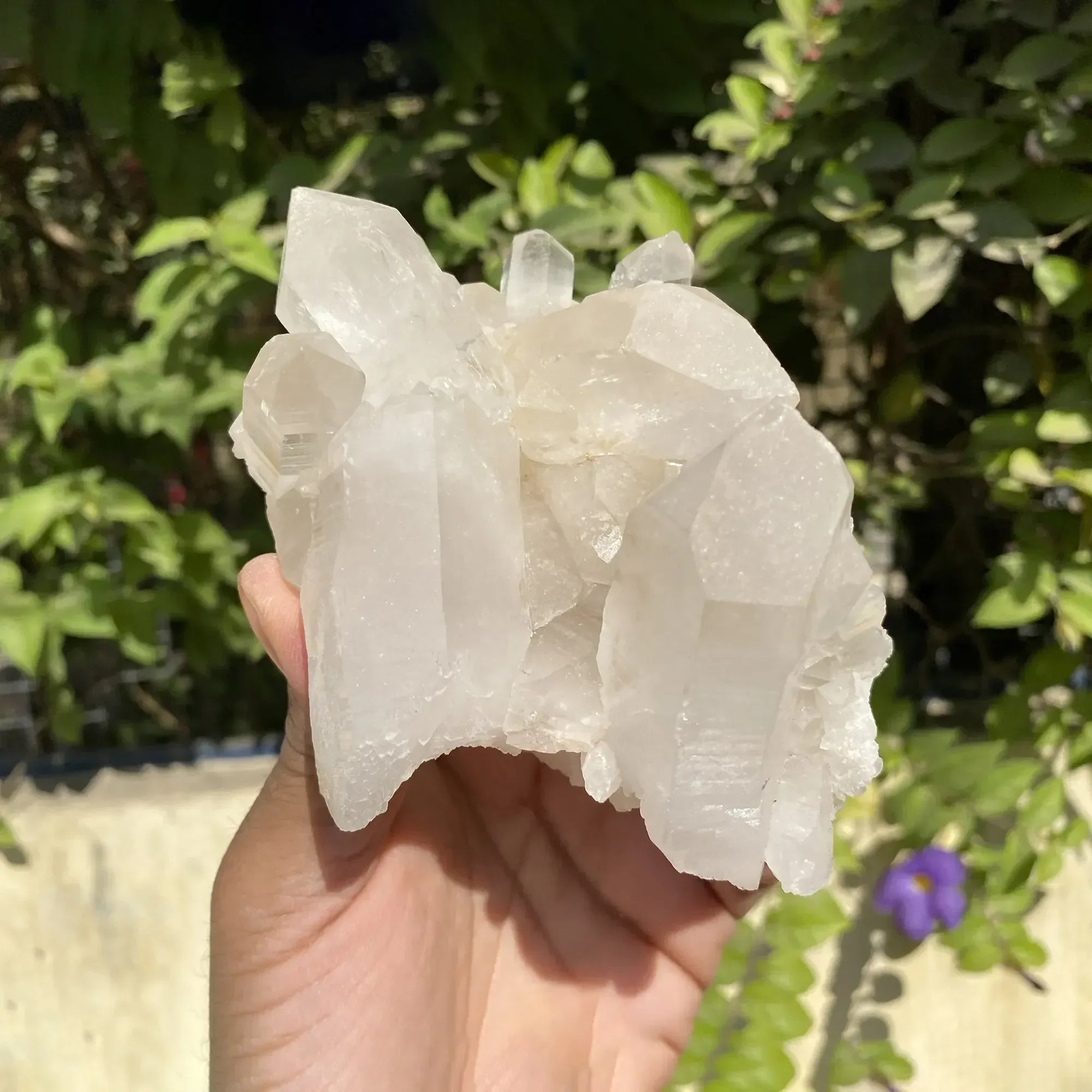 Natural Himalayan Pink Quartz Cluster 510g Himalayan Quartz