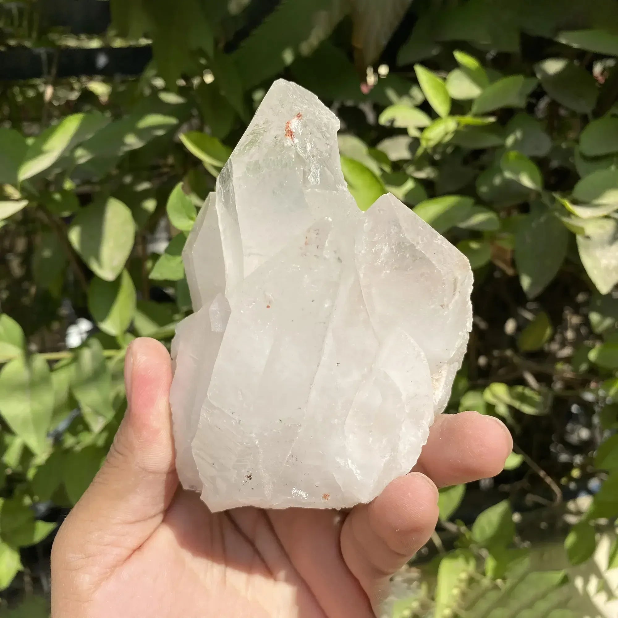 Natural Himalayan White Quartz Cluster 390g Himalayan Quartz