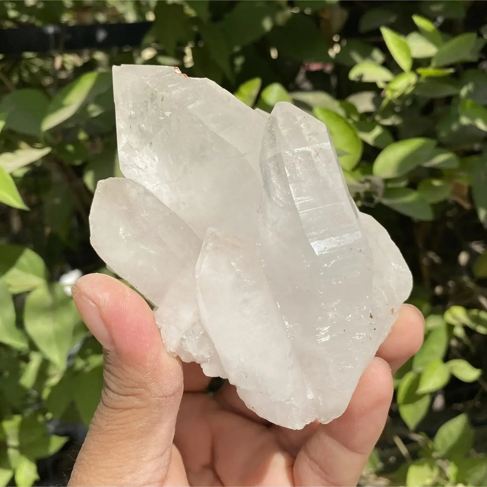 Natural Himalayan White Quartz Cluster 390g Himalayan Quartz