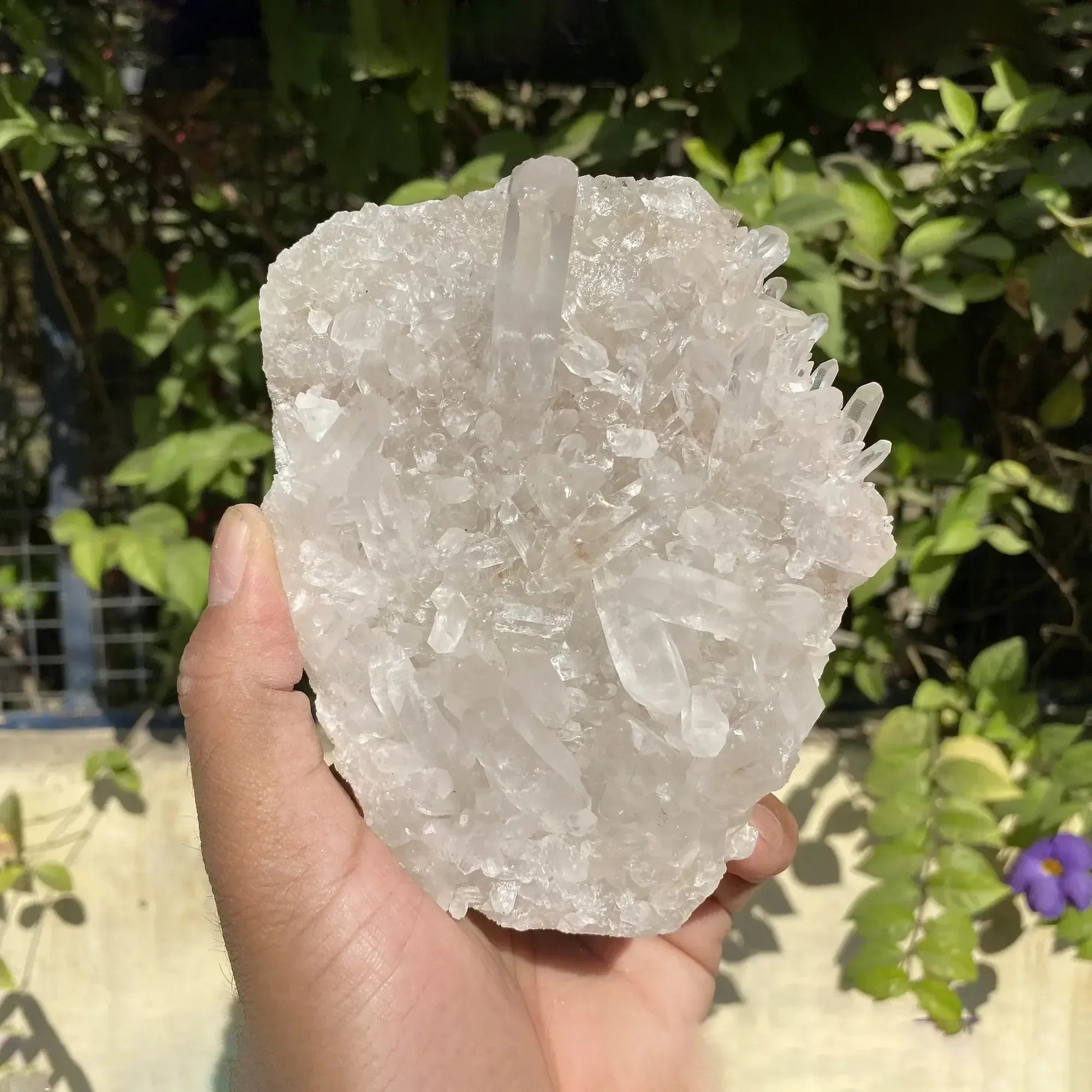Natural Himalayan White Quartz Cluster 795g Himalayan Quartz