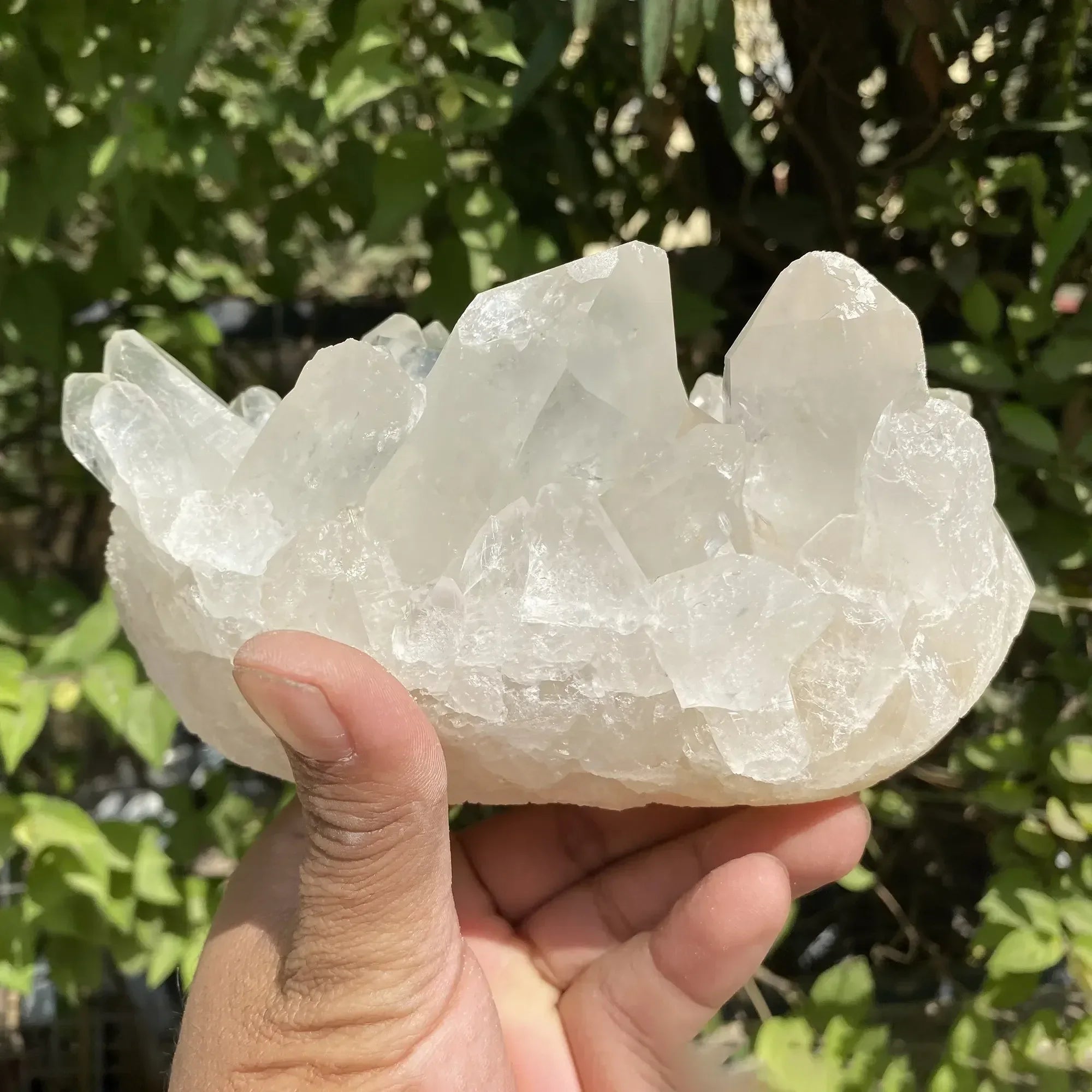 Natural Himalayan White Quartz Cluster 1495g Himalayan Quartz