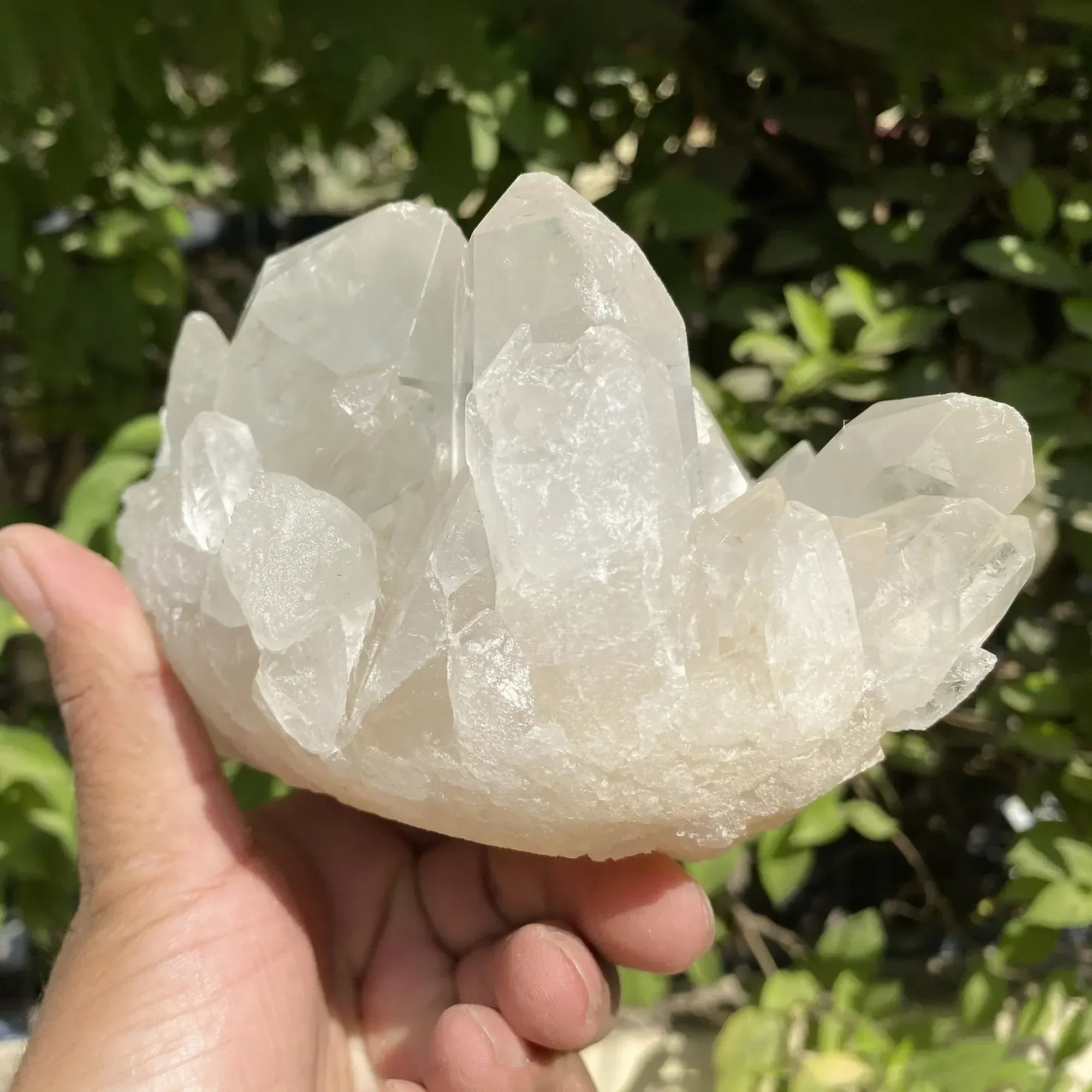 Natural Himalayan White Quartz Cluster 1495g Himalayan Quartz