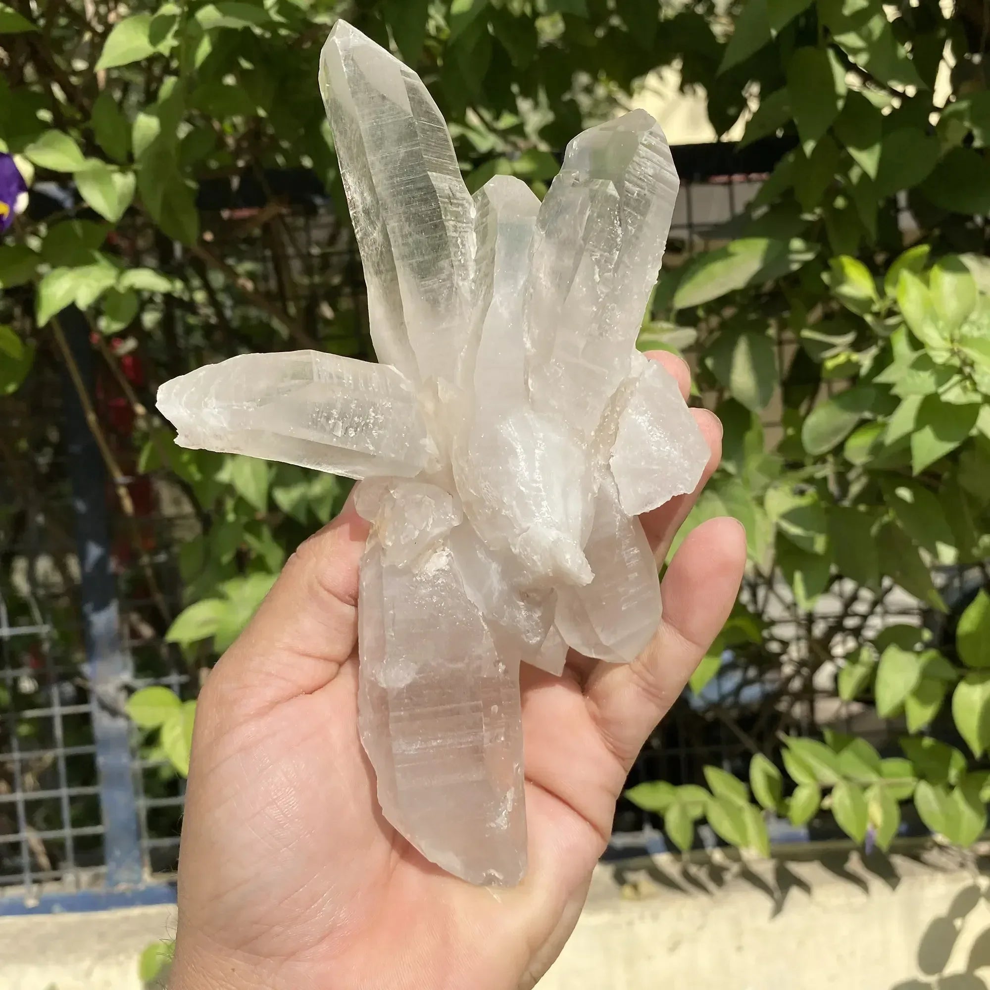 Natural Himalayan White Quartz Cluster 570g Himalayan Quartz