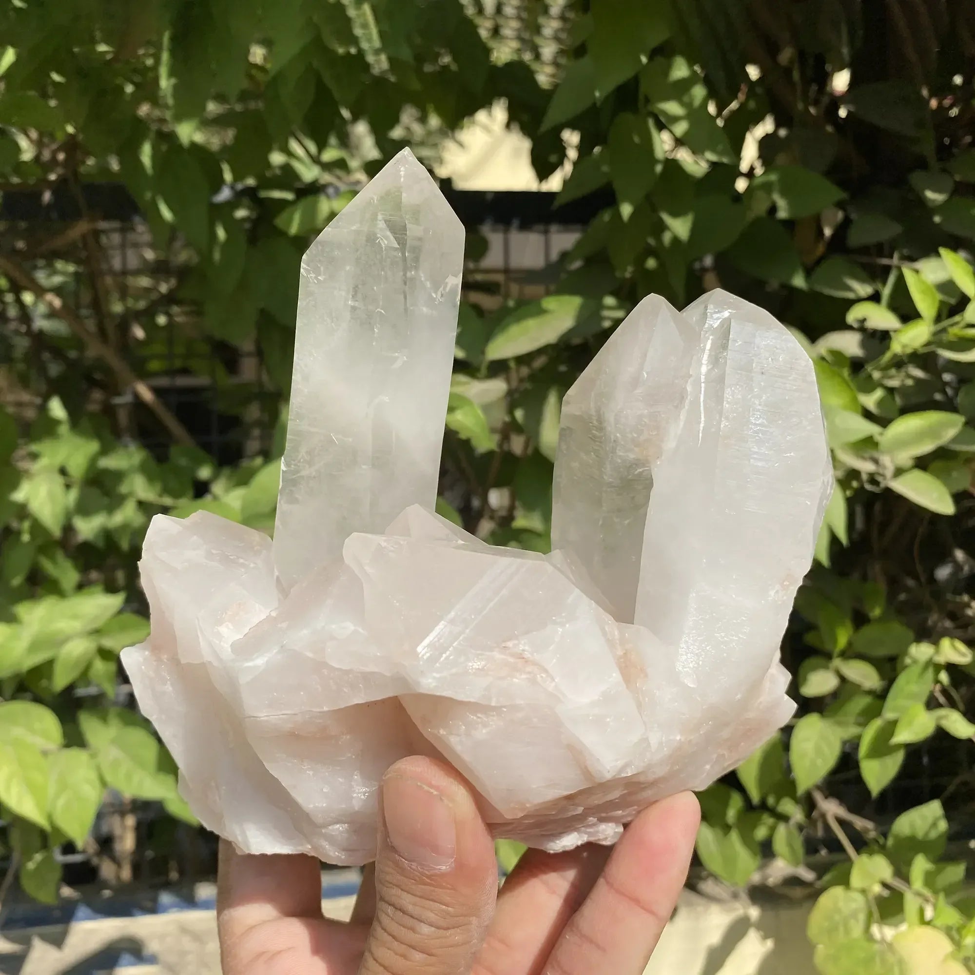Natural Himalayan Pink Quartz Cluster 1525g Himalayan Quartz