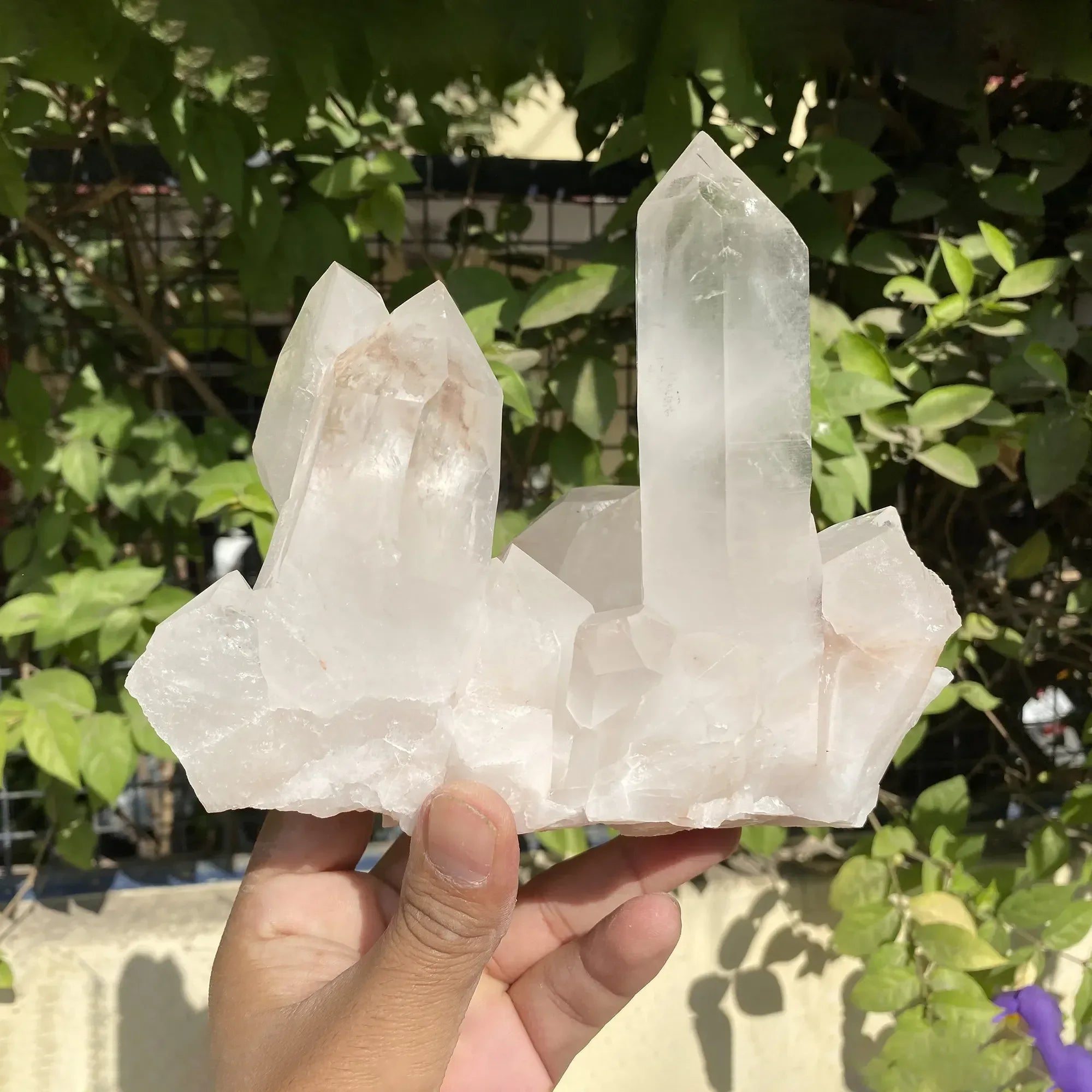 Natural Himalayan Pink Quartz Cluster 1525g Himalayan Quartz