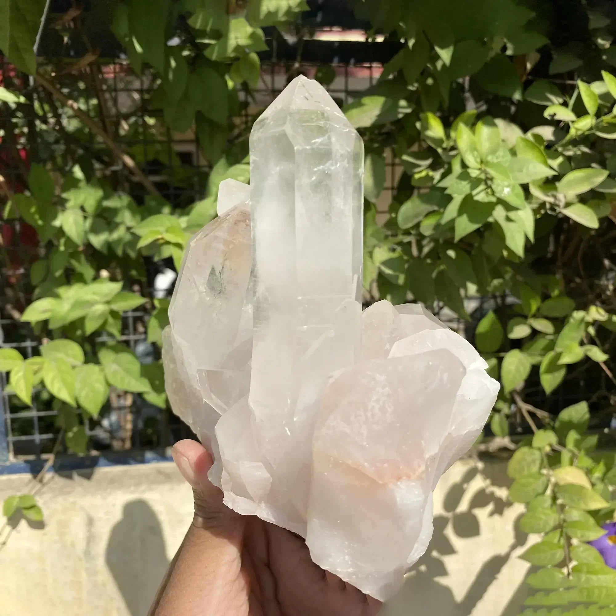 Natural Himalayan Pink Quartz Cluster 1525g Himalayan Quartz