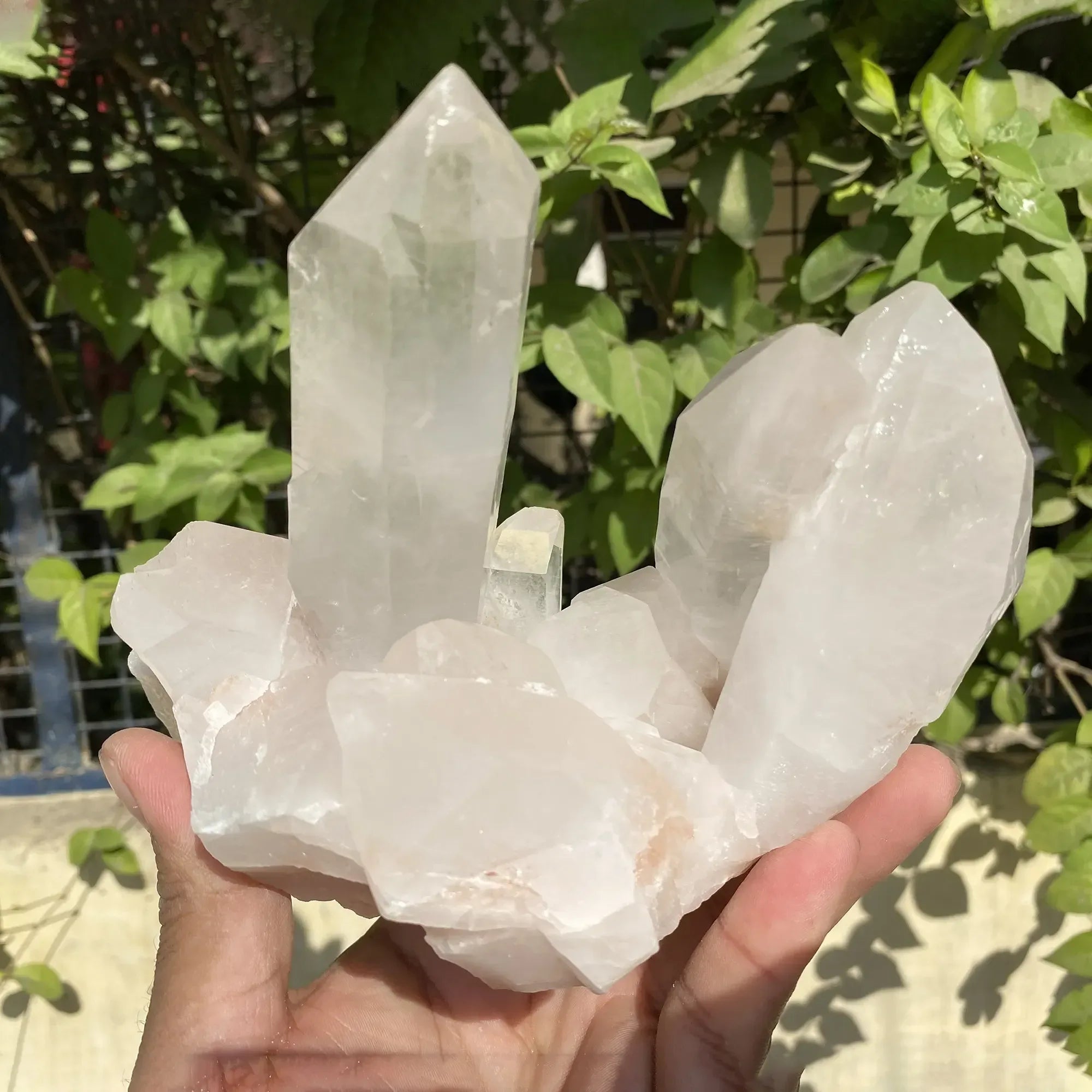 Natural Himalayan Pink Quartz Cluster 1525g Himalayan Quartz