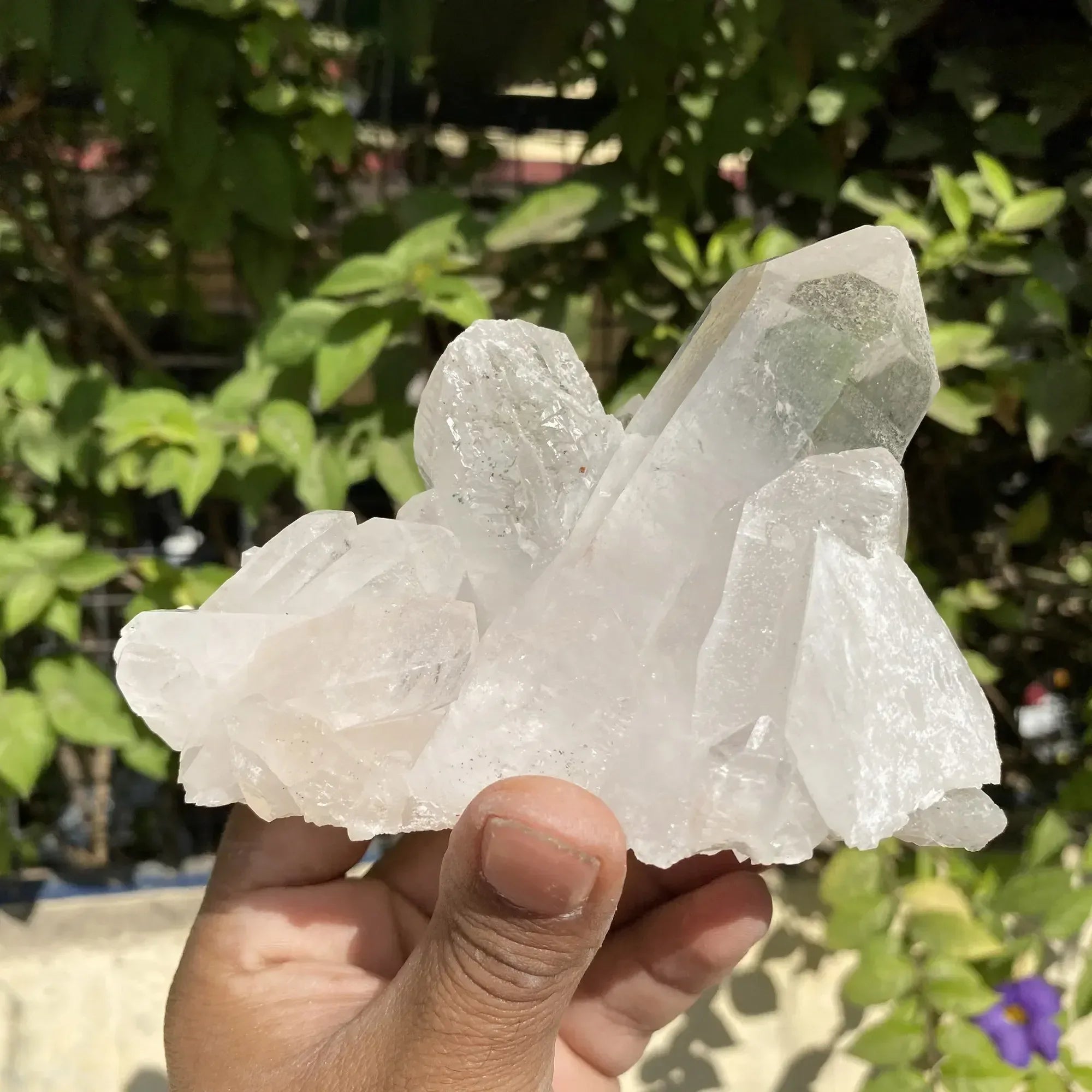 Natural Himalayan White Quartz Cluster 560g Himalayan Quartz
