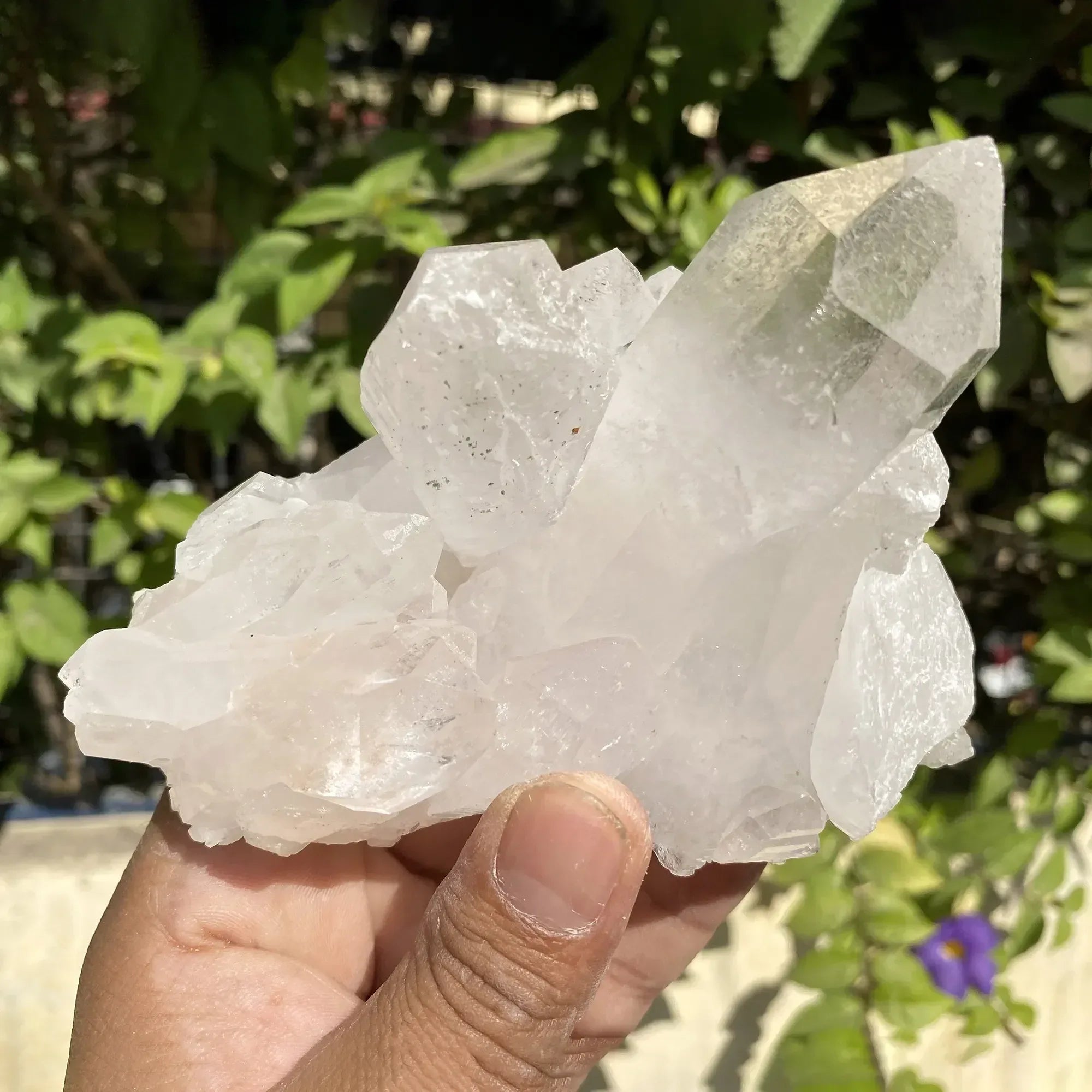 Natural Himalayan White Quartz Cluster 560g Himalayan Quartz