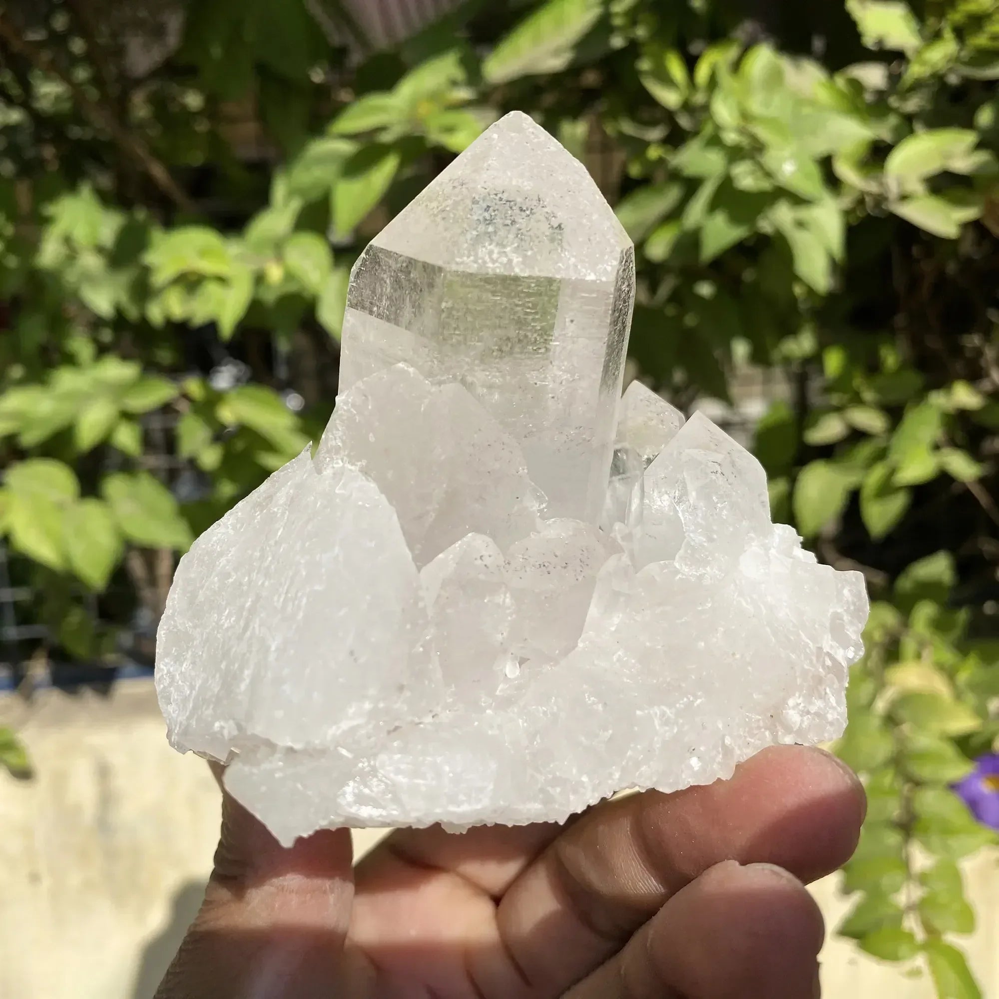 Natural Himalayan White Quartz Cluster 560g Himalayan Quartz
