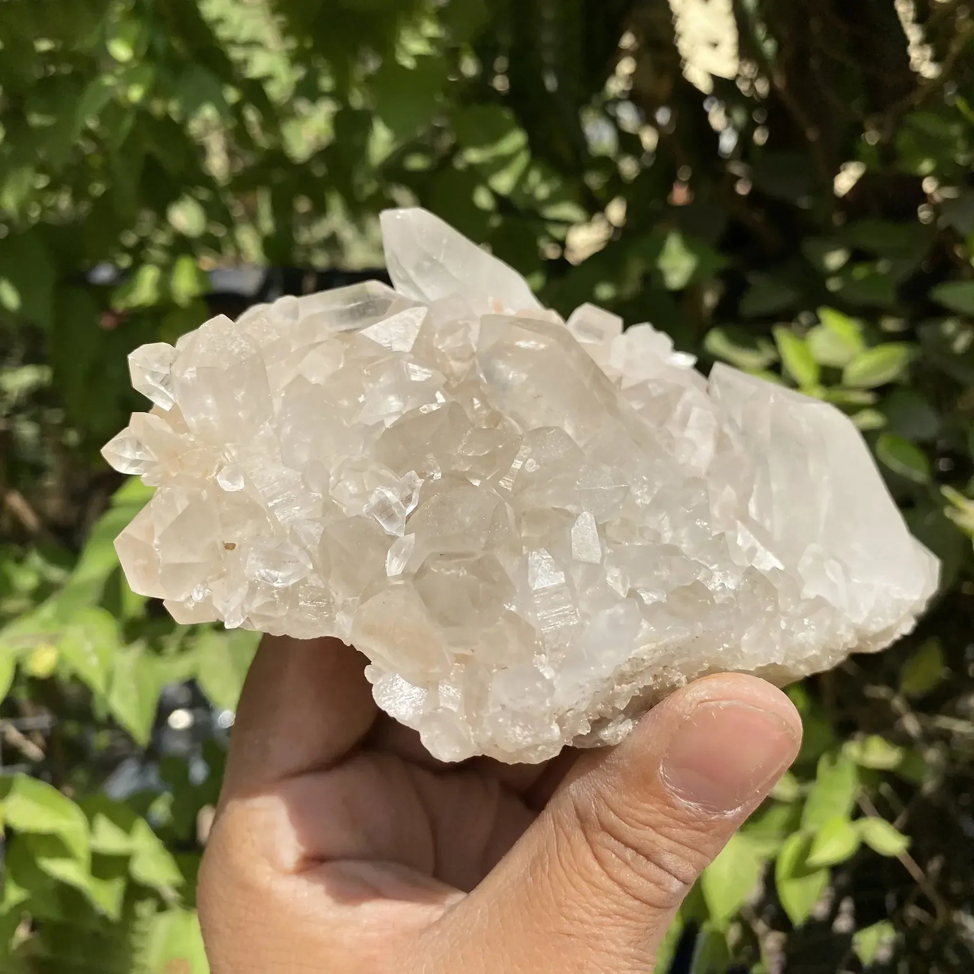 Natural Himalayan White Phantom Quartz Cluster 535g Himalayan Quartz