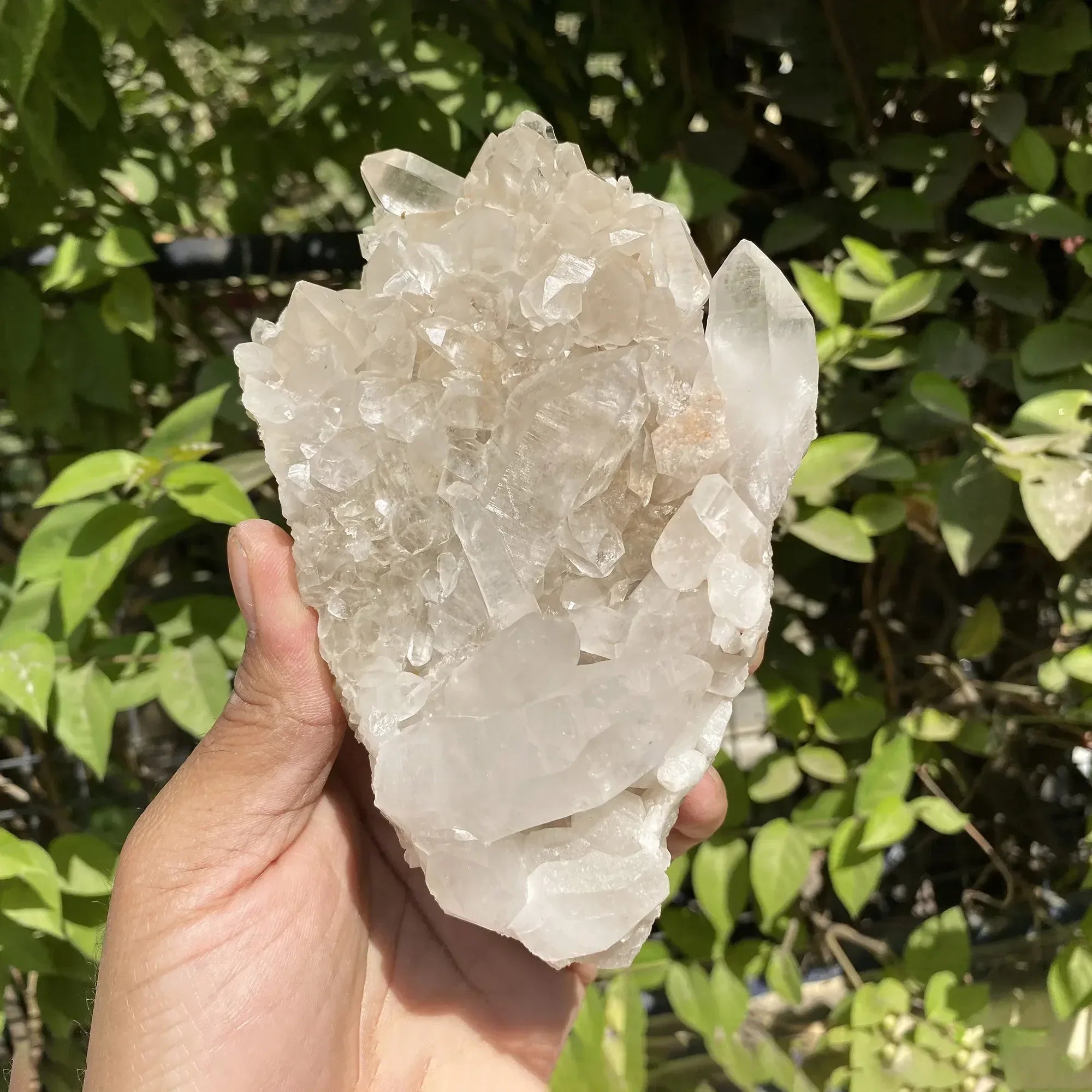 Natural Himalayan White Phantom Quartz Cluster 535g Himalayan Quartz