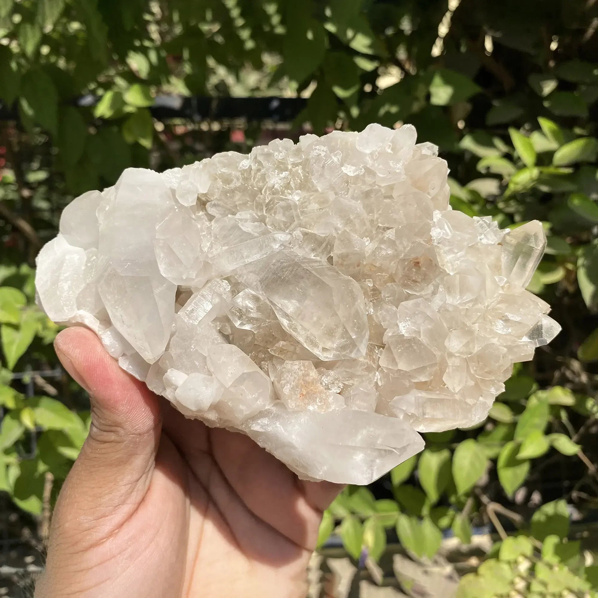 Natural Himalayan White Phantom Quartz Cluster 535g Himalayan Quartz
