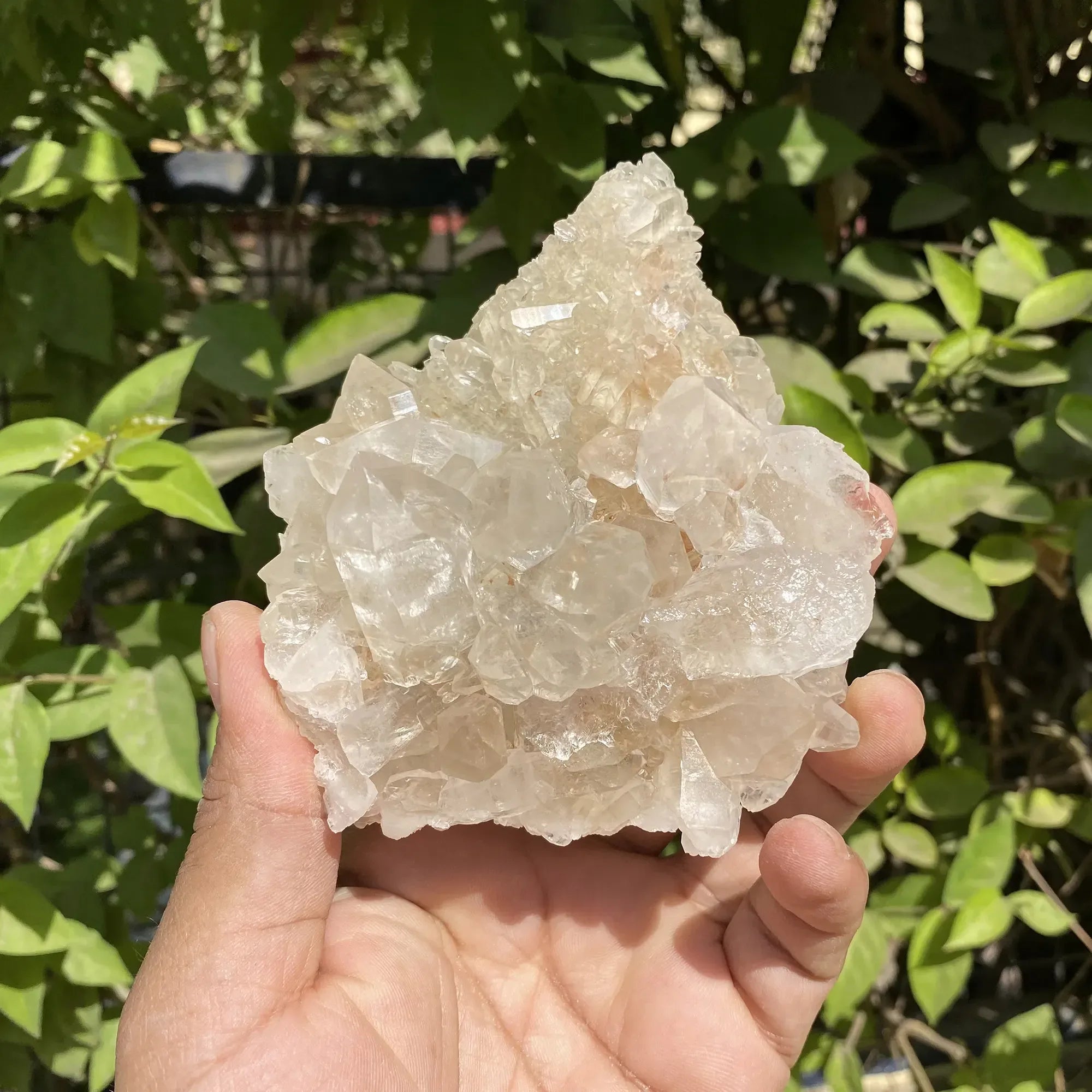 Natural Himalayan Pink Quartz Cluster 325g Himalayan Quartz