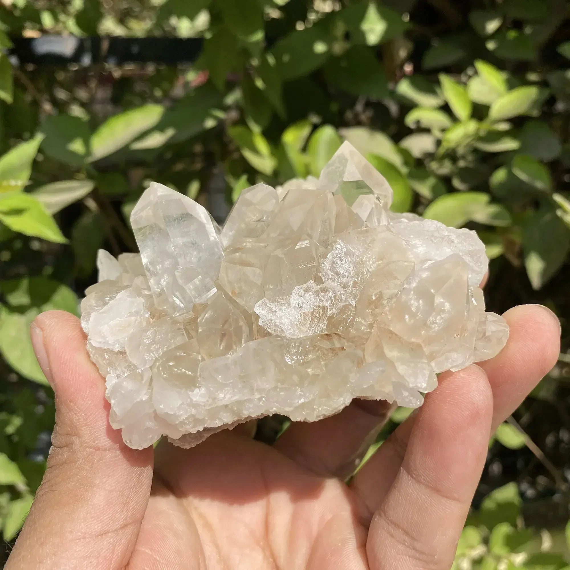 Natural Himalayan Pink Quartz Cluster 325g Himalayan Quartz