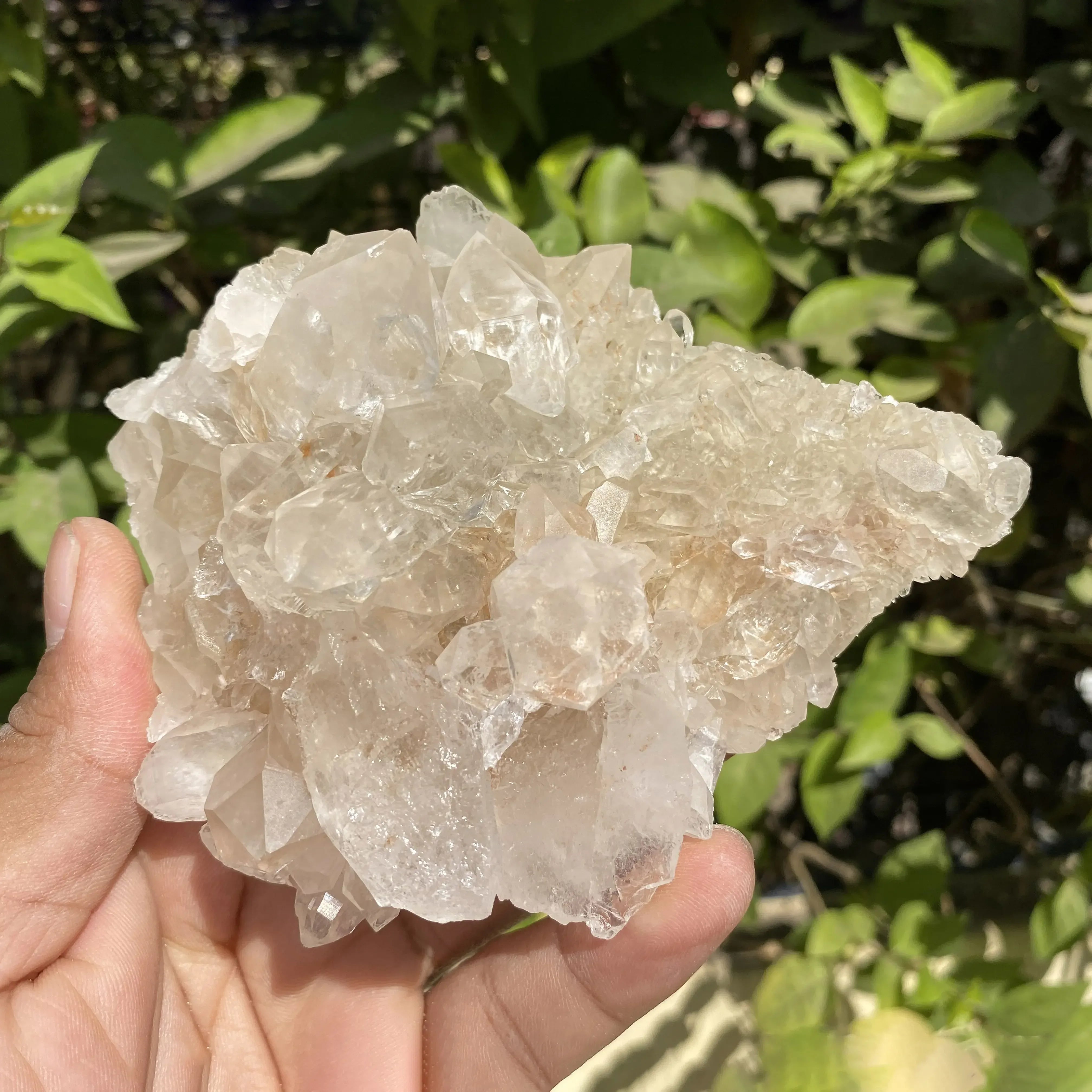 Natural Himalayan Pink Quartz Cluster 325g Himalayan Quartz