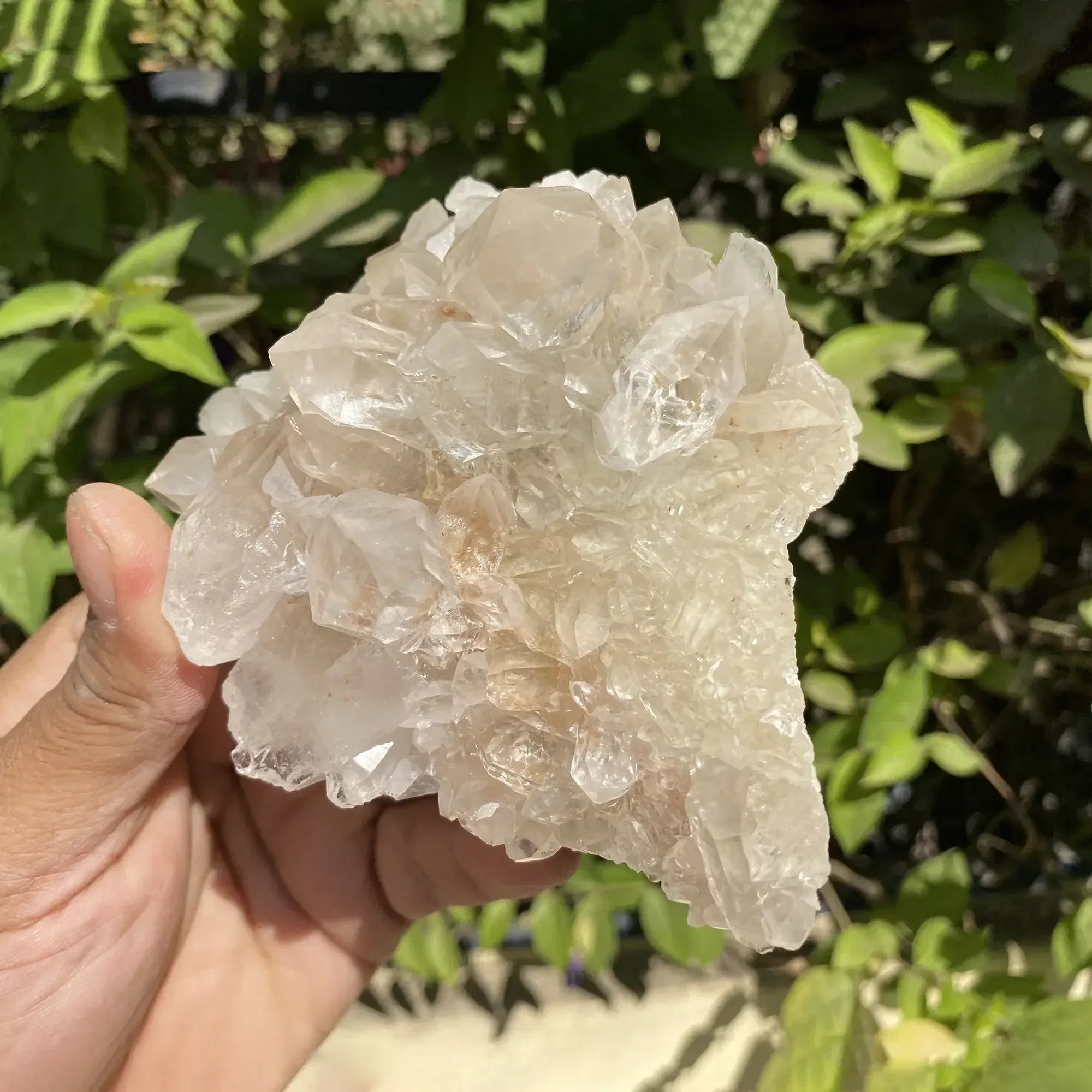 Natural Himalayan Pink Quartz Cluster 325g Himalayan Quartz