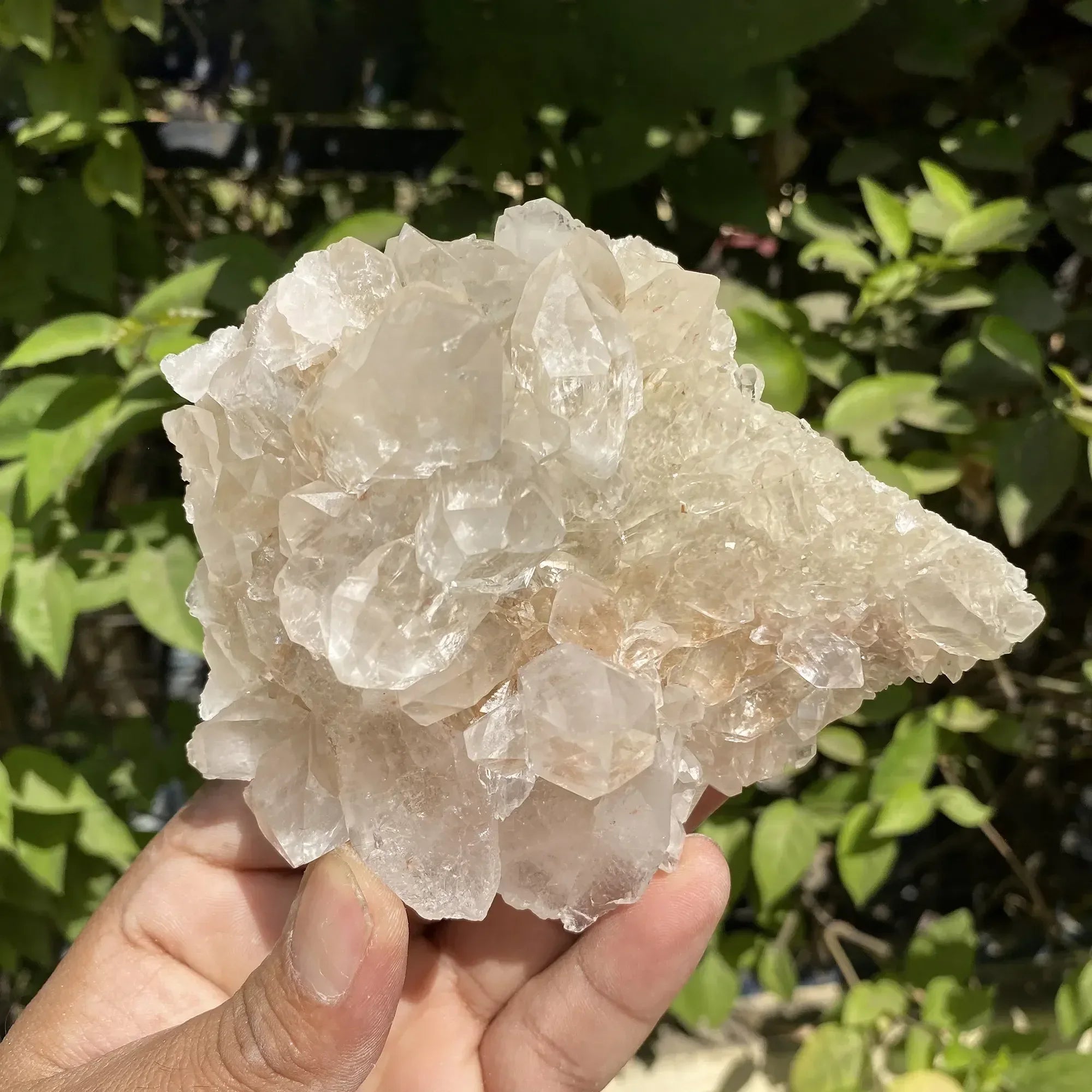 Natural Himalayan Pink Quartz Cluster 325g Himalayan Quartz