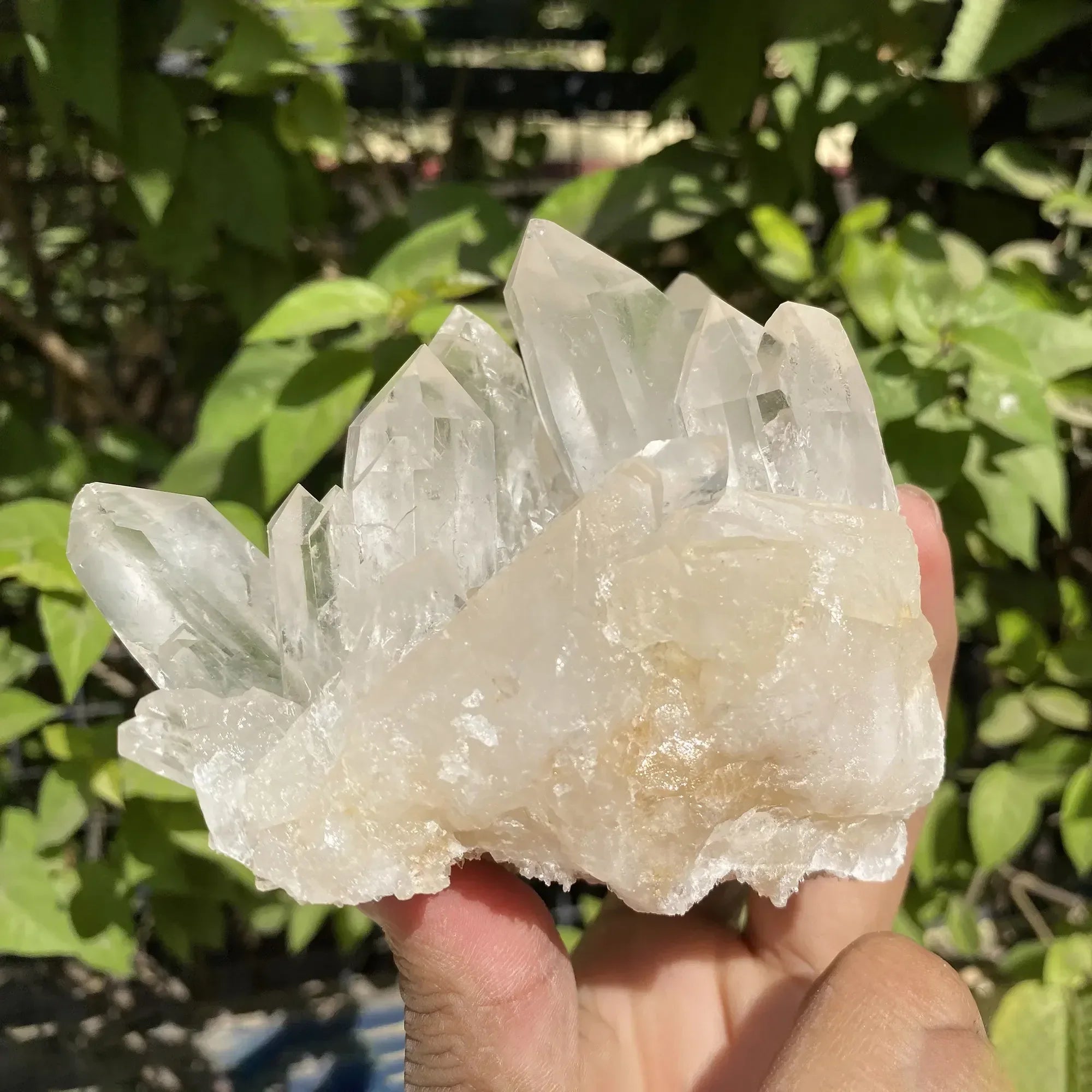 Natural Himalayan White Quartz Cluster 715g Himalayan Quartz