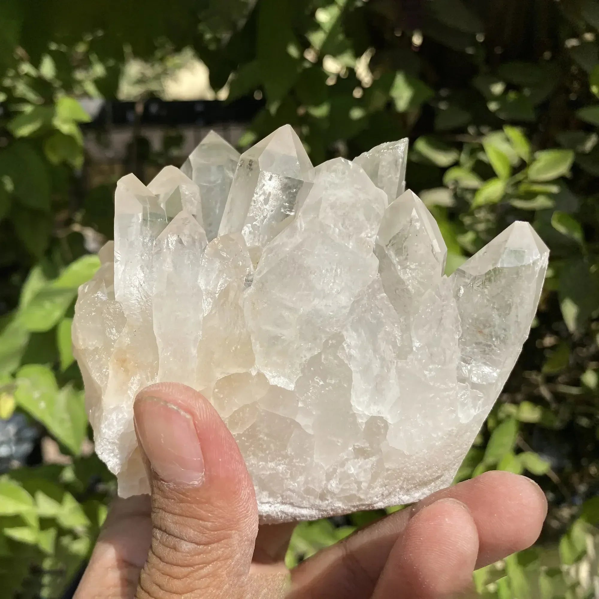 Natural Himalayan White Quartz Cluster 715g Himalayan Quartz
