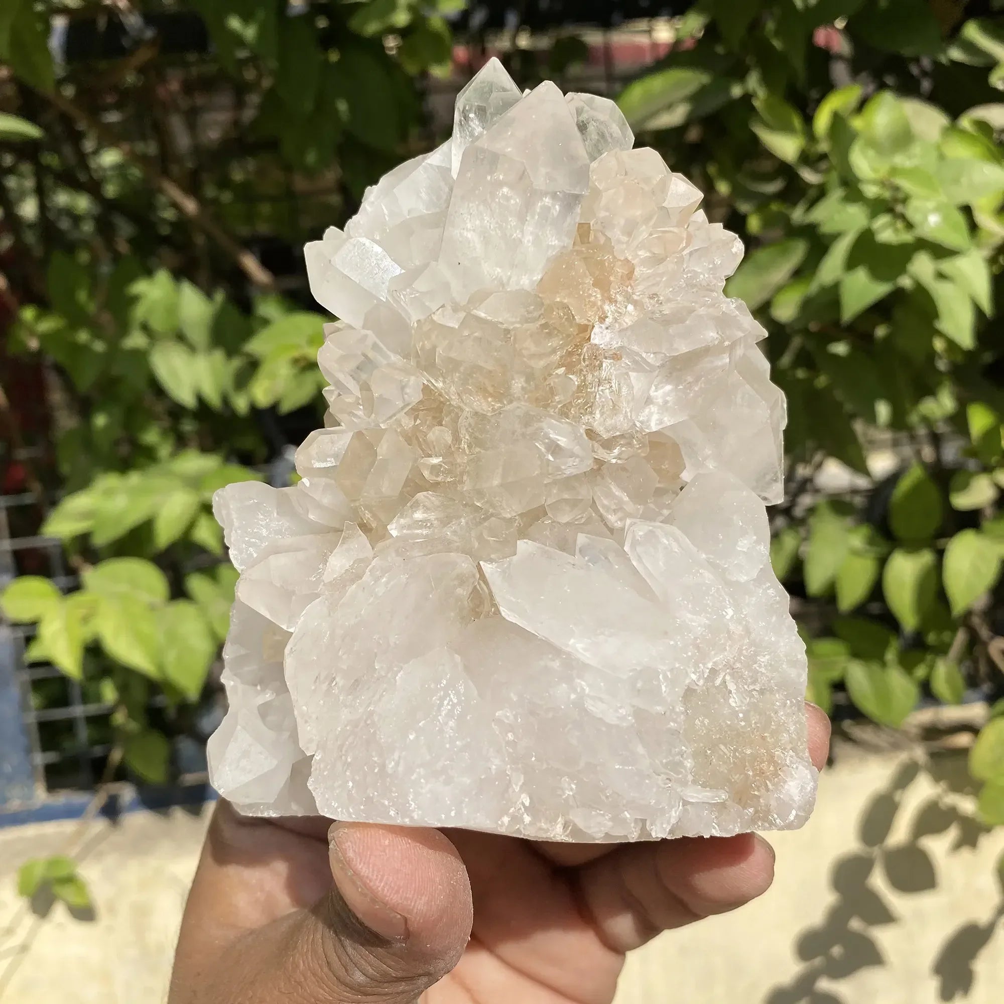 Natural Himalayan White Quartz Cluster 540g Himalayan Quartz