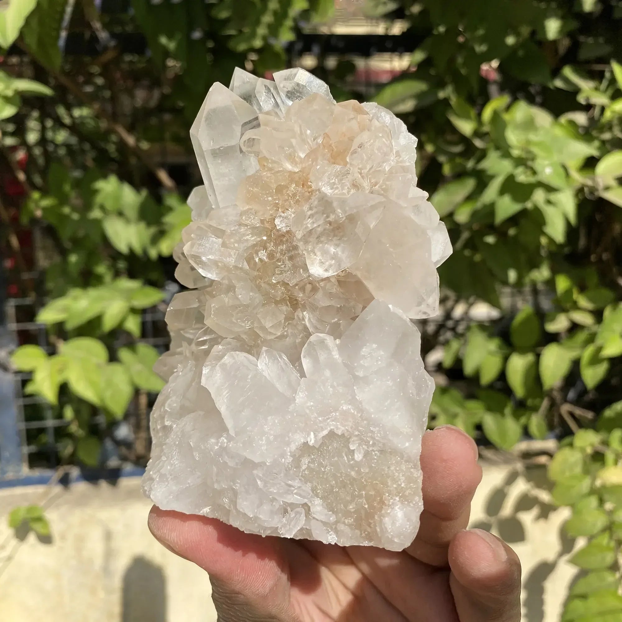 Natural Himalayan White Quartz Cluster 540g Himalayan Quartz