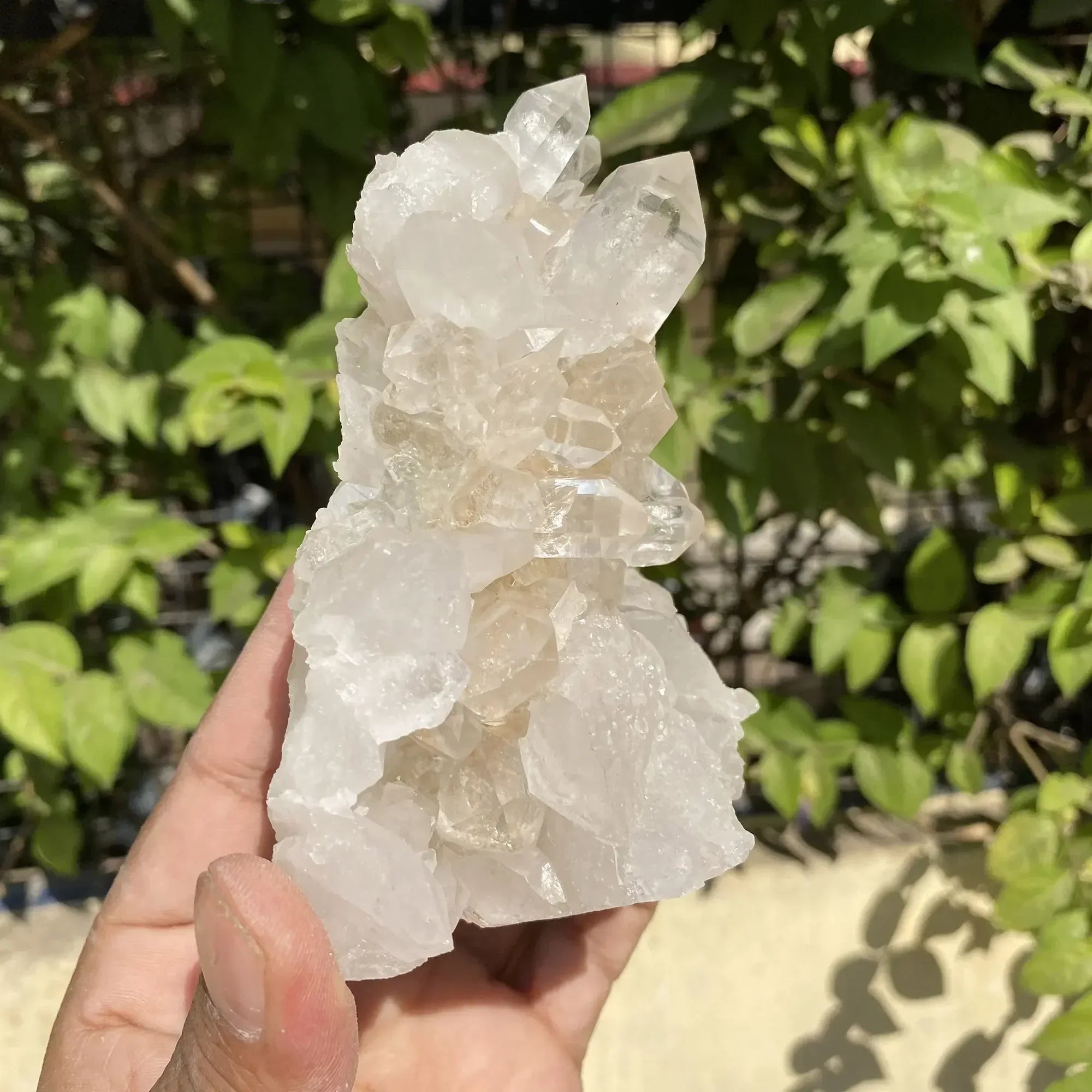 Natural Himalayan White Quartz Cluster 540g Himalayan Quartz